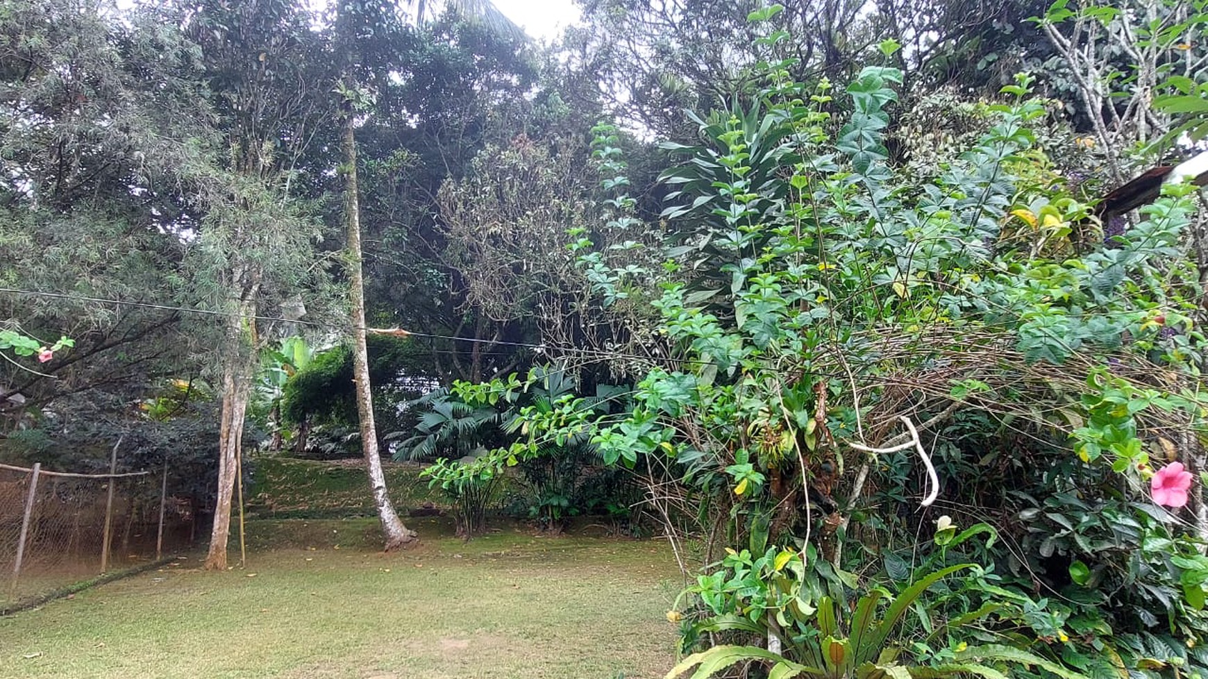 DIJUAL Rumah & Tanah Daerah Asri di kampung simagalih megamendung