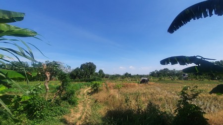 TANAH KAVLING DI WANASARI CIBITUNG COCOK UNTUK PERUMAHAN DAN GEDUNG BALAI PERTEMUAN DENGAN LOKASI STRATEGIS PINGGIR TOL CIBITUNG CILINCING