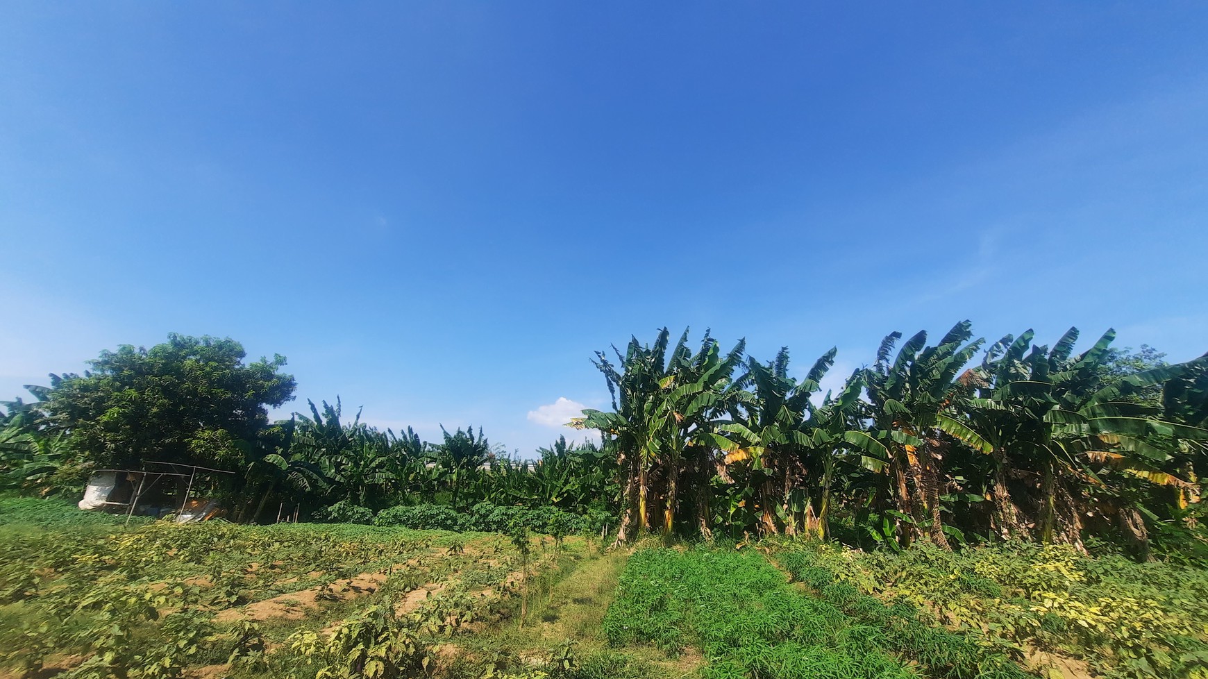 TANAH KAVLING DI WANASARI CIBITUNG COCOK UNTUK PERUMAHAN DAN GEDUNG BALAI PERTEMUAN DENGAN LOKASI STRATEGIS PINGGIR TOL CIBITUNG CILINCING