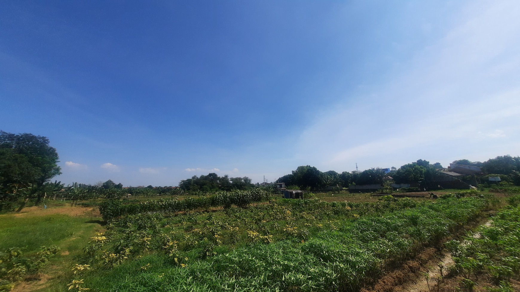 TANAH KAVLING DI WANASARI CIBITUNG COCOK UNTUK PERUMAHAN DAN GEDUNG BALAI PERTEMUAN DENGAN LOKASI STRATEGIS PINGGIR TOL CIBITUNG CILINCING