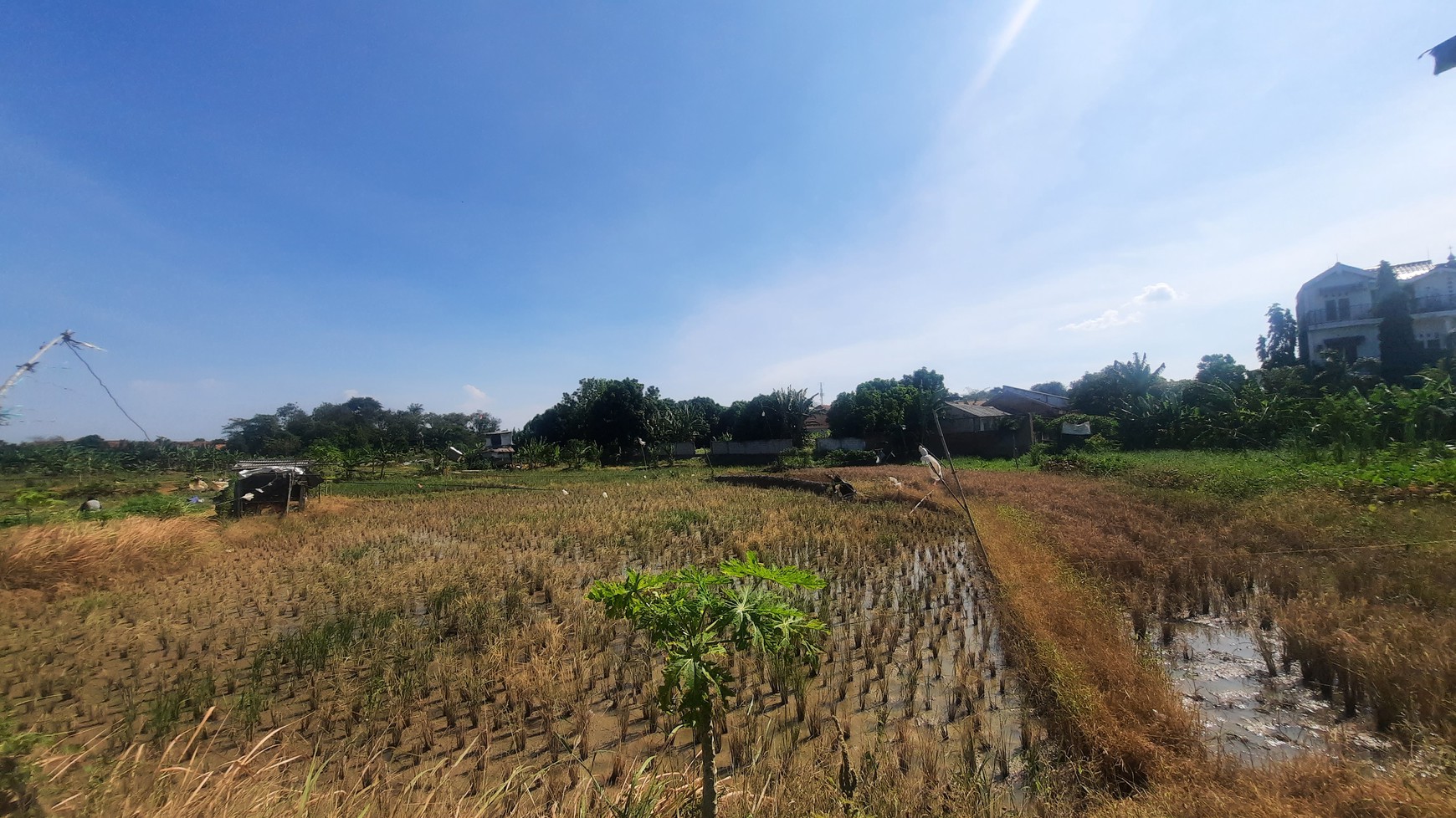 TANAH KAVLING DI WANASARI CIBITUNG COCOK UNTUK PERUMAHAN DAN GEDUNG BALAI PERTEMUAN DENGAN LOKASI STRATEGIS PINGGIR TOL CIBITUNG CILINCING