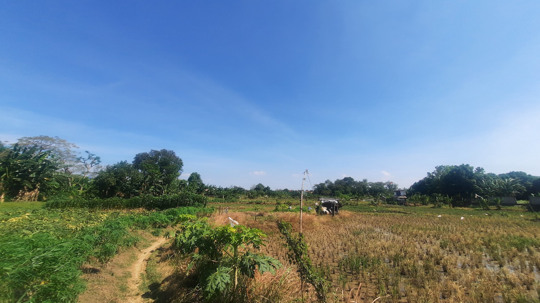 TANAH KAVLING DI WANASARI CIBITUNG COCOK UNTUK PERUMAHAN DAN GEDUNG BALAI PERTEMUAN DENGAN LOKASI STRATEGIS PINGGIR TOL CIBITUNG CILINCING