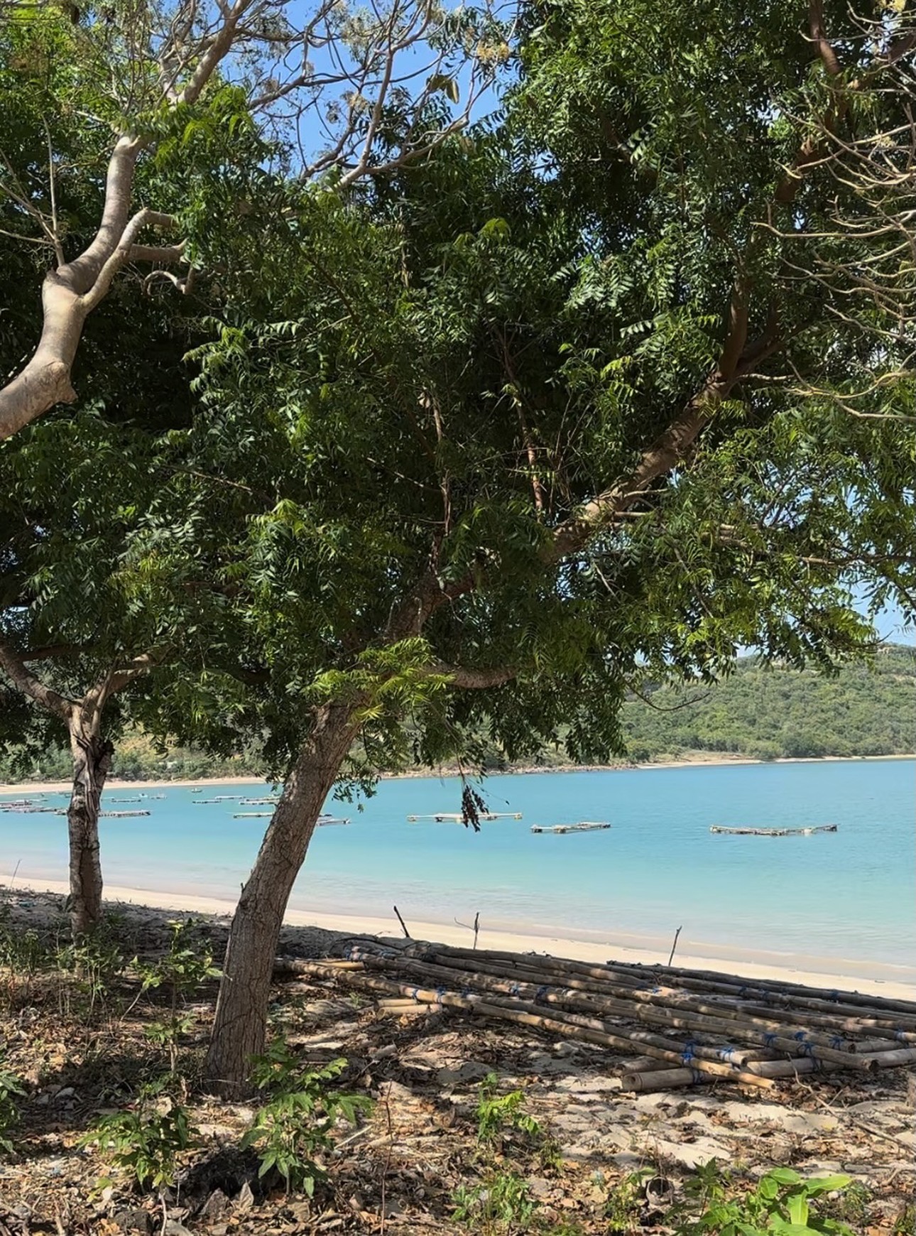 Dijual Tanah Pinggir Pantai Dekat Kuta Mandalika, Lombok
