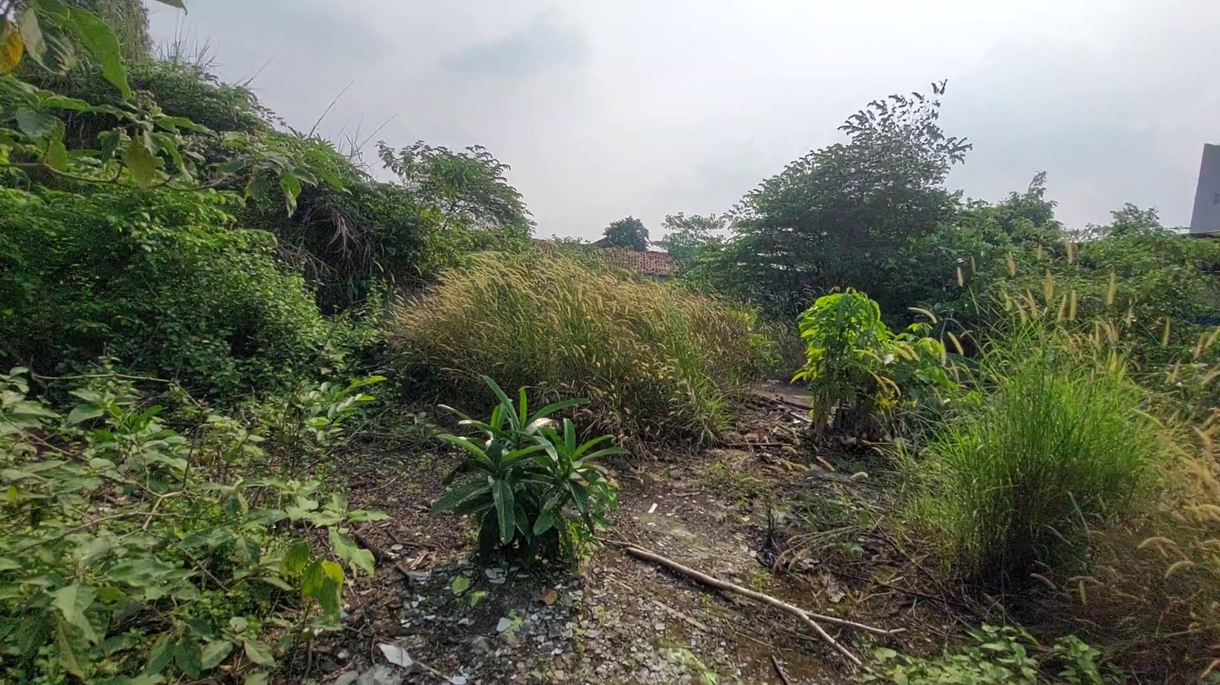 Tanah Komersial di Jalan Raya, Ciganjur Jagakarsa, Jakarta Selatan