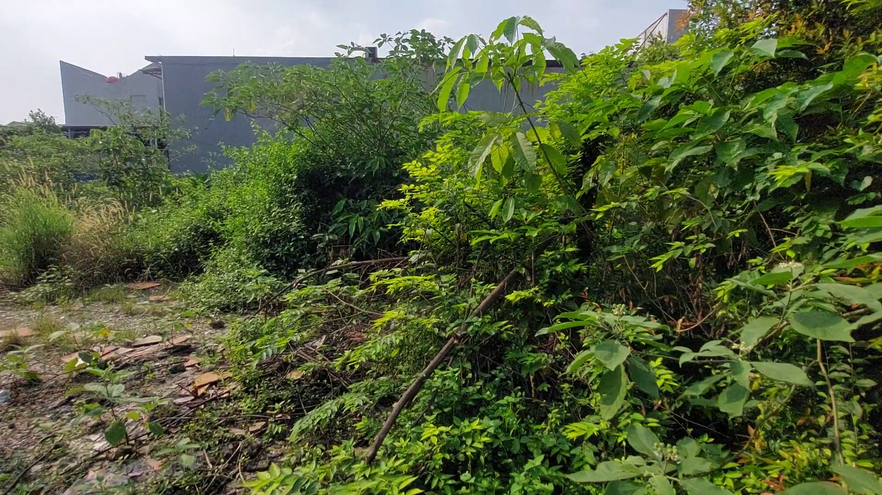 Tanah Komersial di Jalan Raya, Ciganjur Jagakarsa, Jakarta Selatan