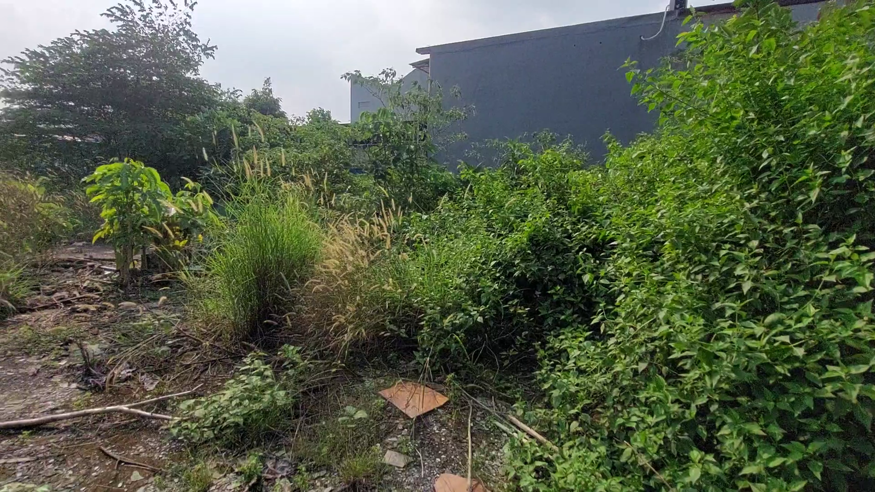 Tanah Komersial di Jalan Raya, Ciganjur Jagakarsa, Jakarta Selatan