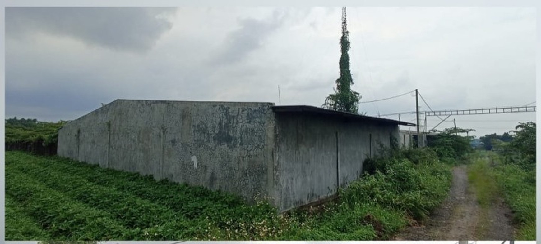 DIJUAL TANAH & BANGUNAN ( dsn Ketintang, Bakalan,  Gondang, Mojokerto ) 