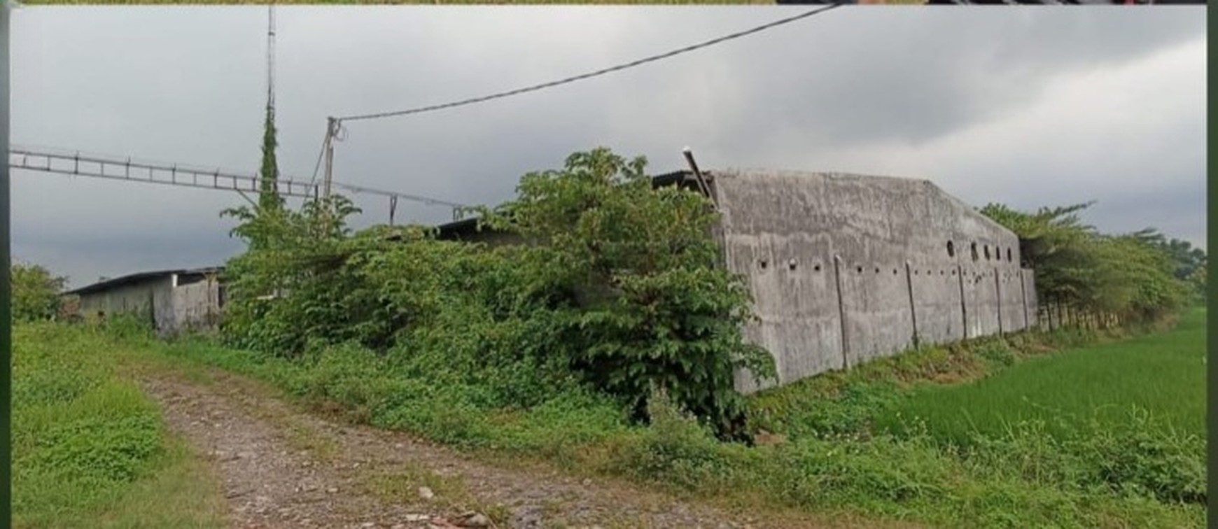 DIJUAL TANAH & BANGUNAN ( dsn Ketintang, Bakalan,  Gondang, Mojokerto ) 