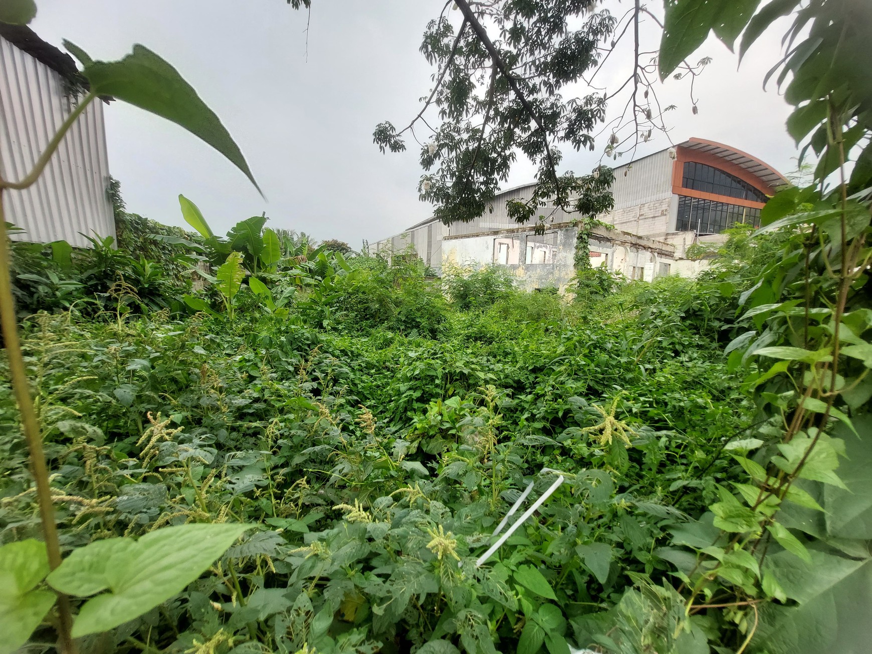 Super Murah 914m2 - Lahan Komersial Siap Bangun di Jl. Raya Jambore Jakarta Timur 