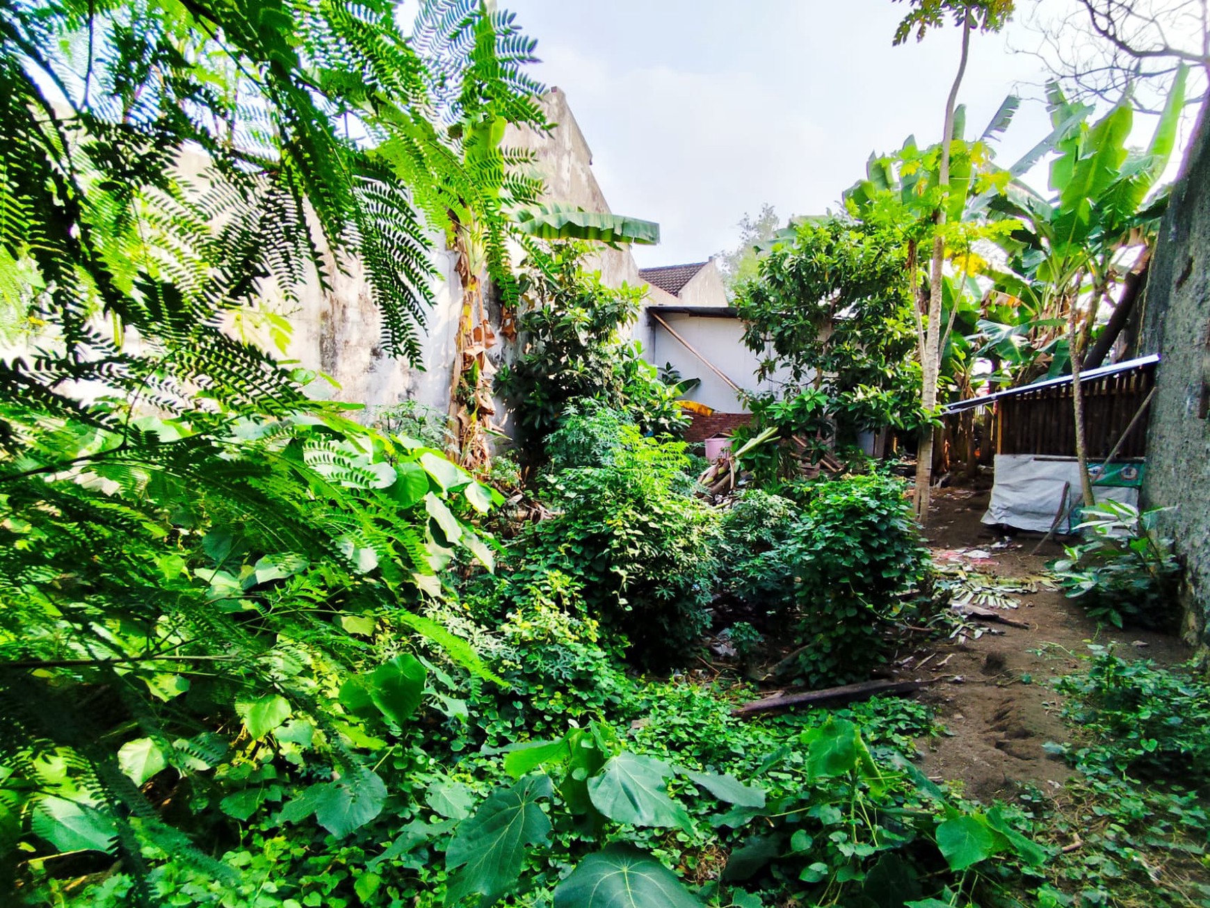 Tanah Pekarangan 743 Meter Persegi Berada di Jalan Lowanu, Umbulharjo