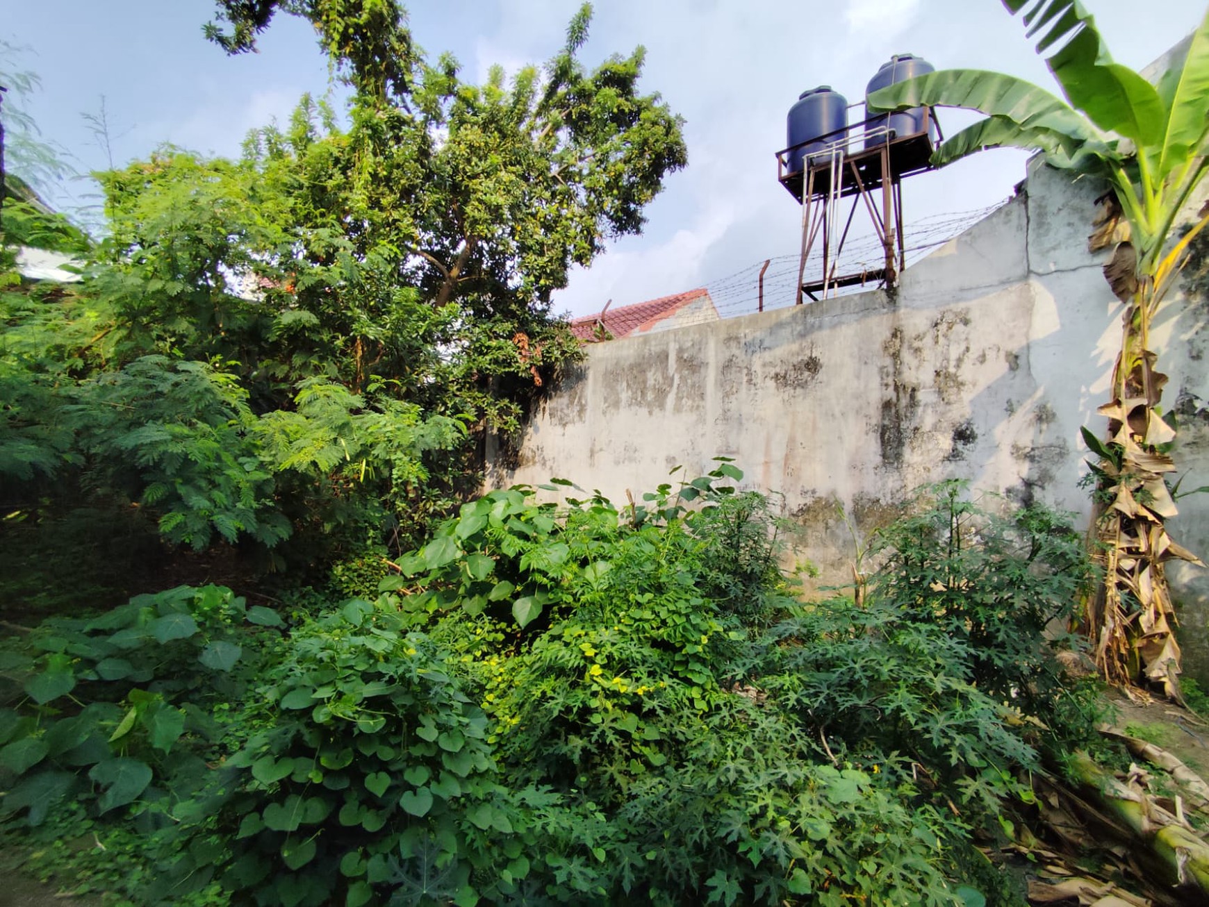 Tanah Pekarangan 743 Meter Persegi Berada di Jalan Lowanu, Umbulharjo