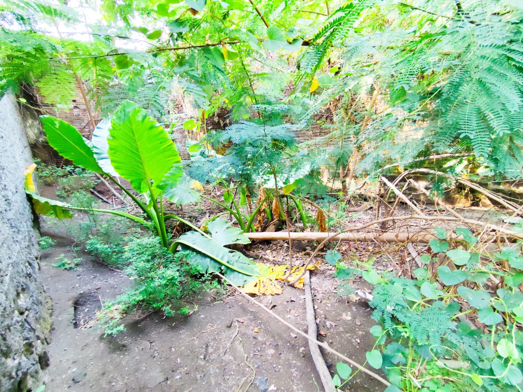 Tanah Pekarangan 743 Meter Persegi Berada di Jalan Lowanu, Umbulharjo