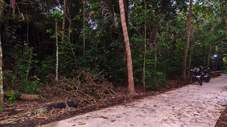Tanah 861 Meter Persegi Lokasi Dekat Pasar Kasihan, Nigentakrejo, Lendah, KulonProgo.