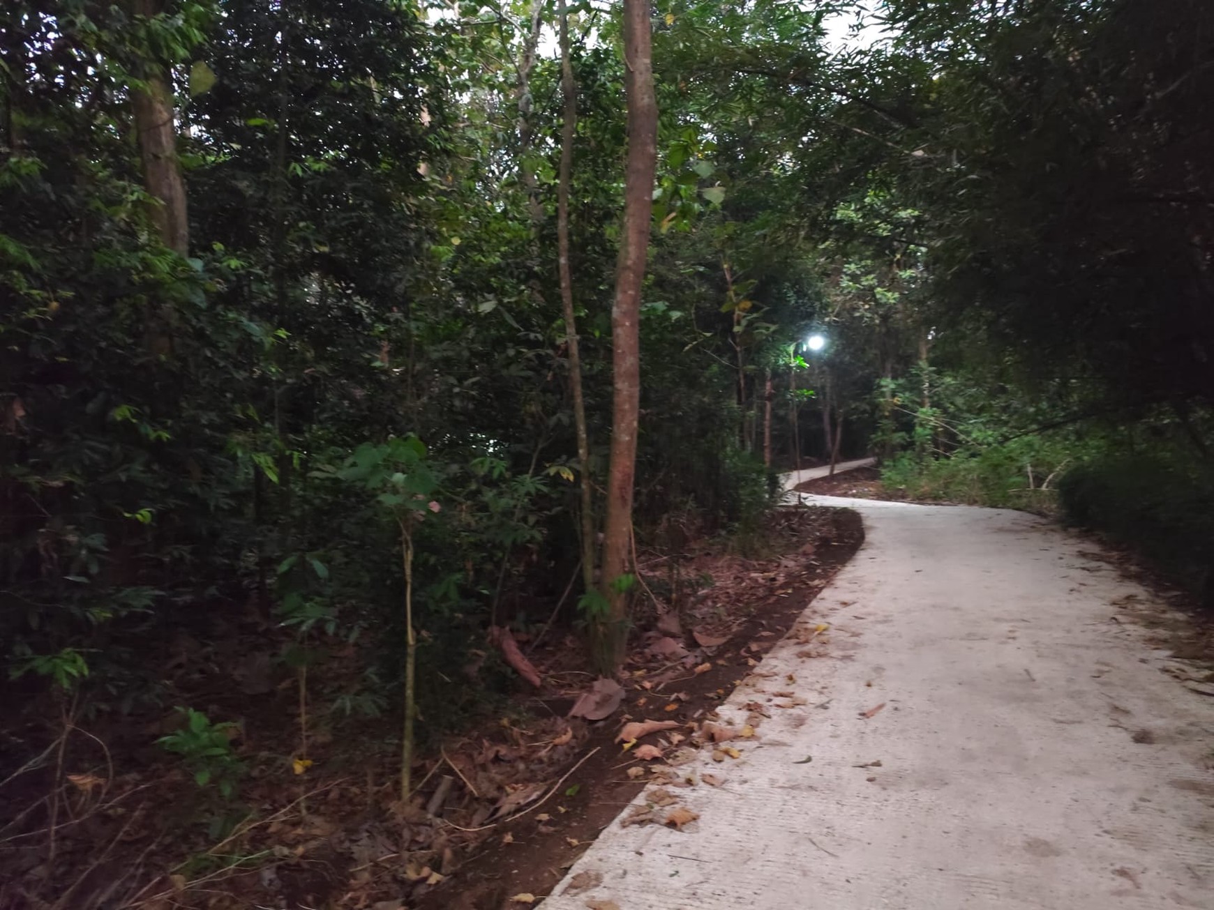 Tanah 861 Meter Persegi Lokasi Dekat Pasar Kasihan, Nigentakrejo, Lendah, KulonProgo.
