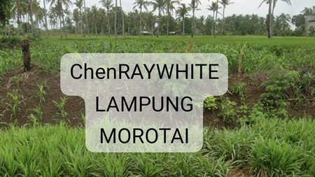 Dijual Tanah strategis lokasi jalan lintas sumatra
