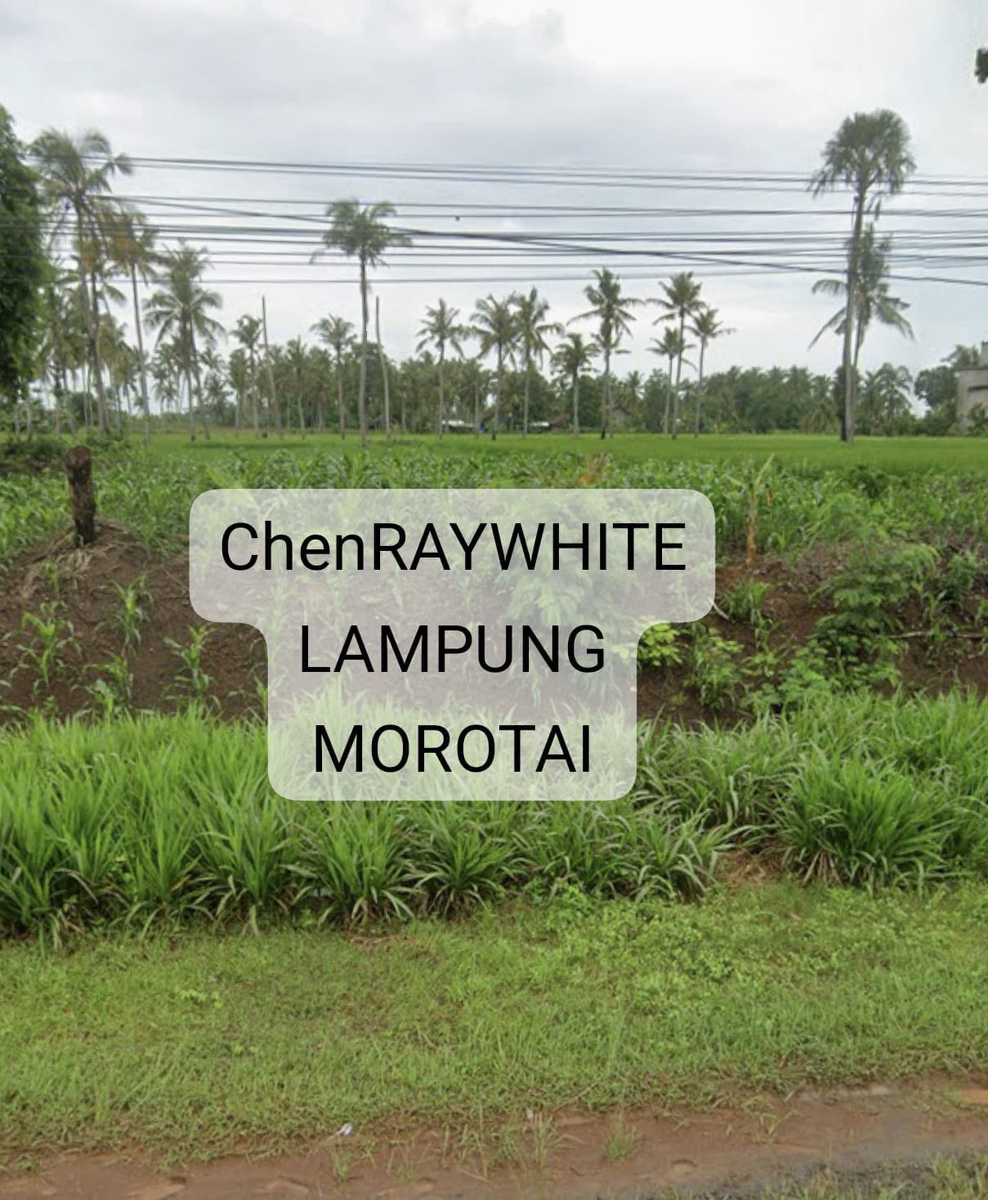 Dijual Tanah strategis lokasi jalan lintas sumatra