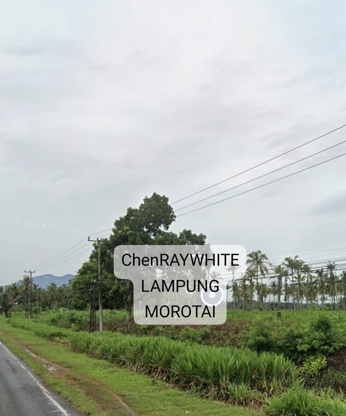 Dijual Tanah strategis lokasi jalan lintas sumatra