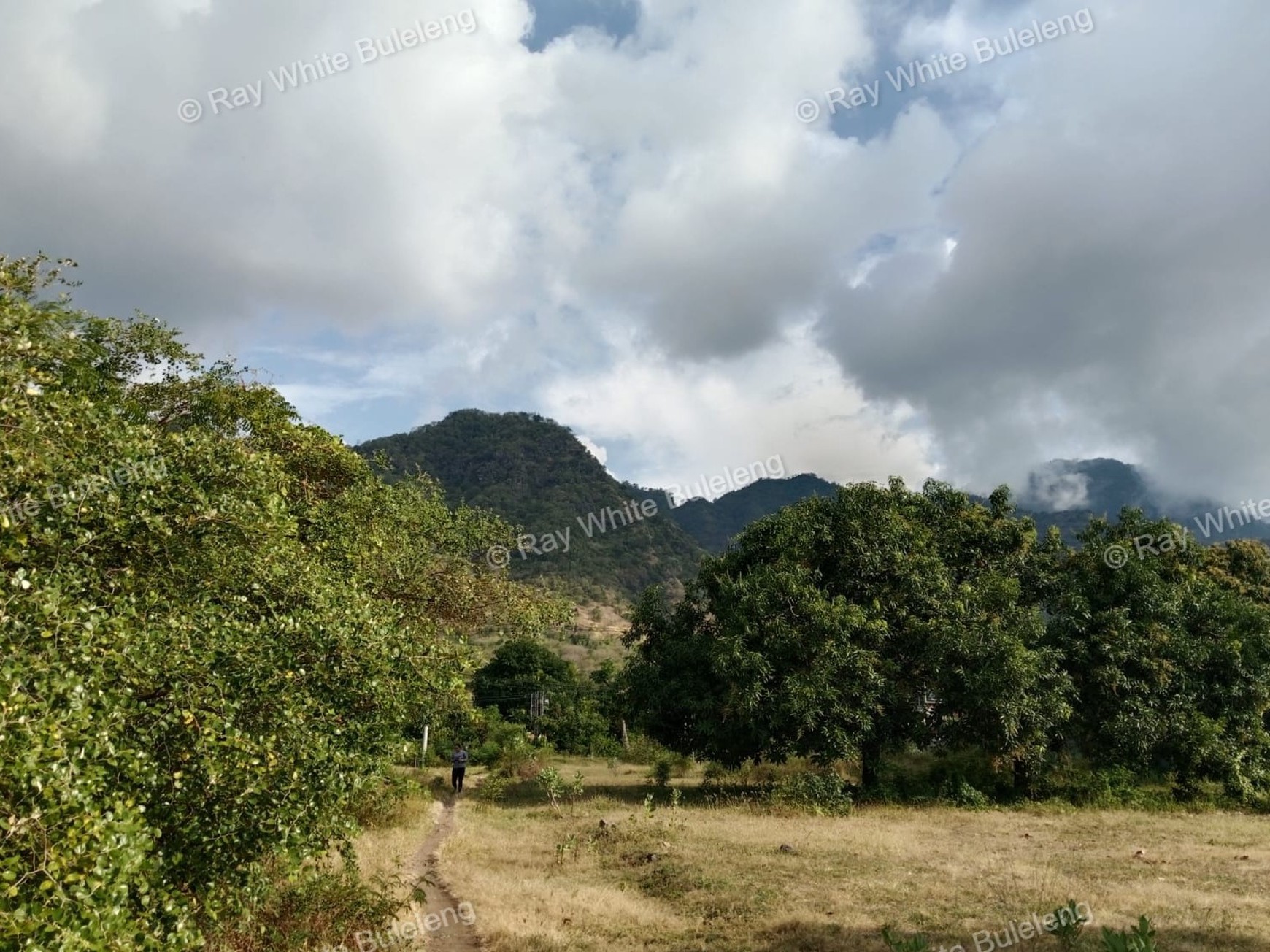 Rare 4,080 sqm Beachfront Land in Pemuteran with Direct Main Road Access