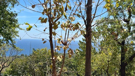Unspoiled 1.93 Hectare Ocean View Land in Tejakula - Perfect for Resort or Retreat Project