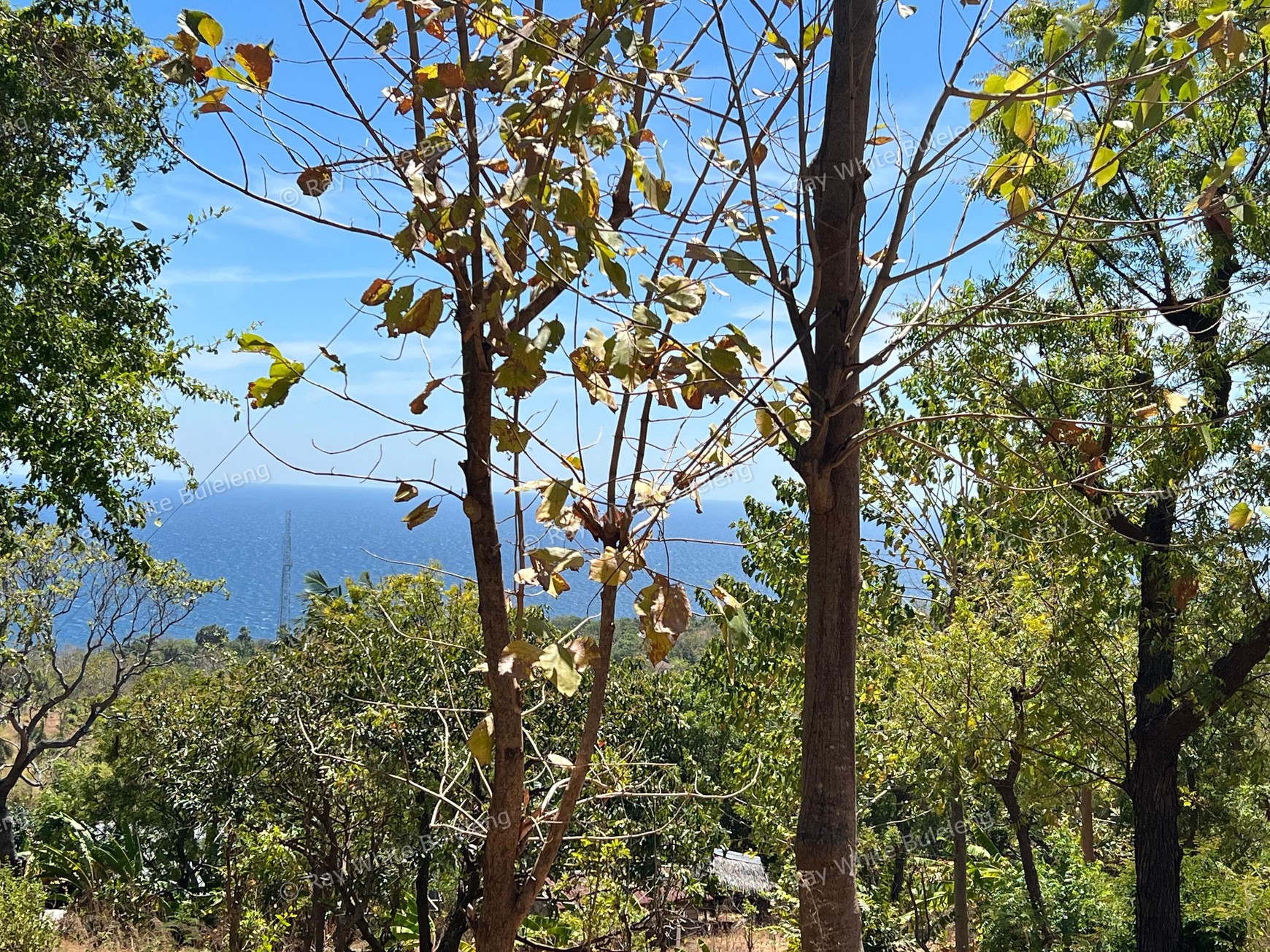 Unspoiled 1.93 Hectare Ocean View Land in Tejakula - Perfect for Resort or Retreat Project