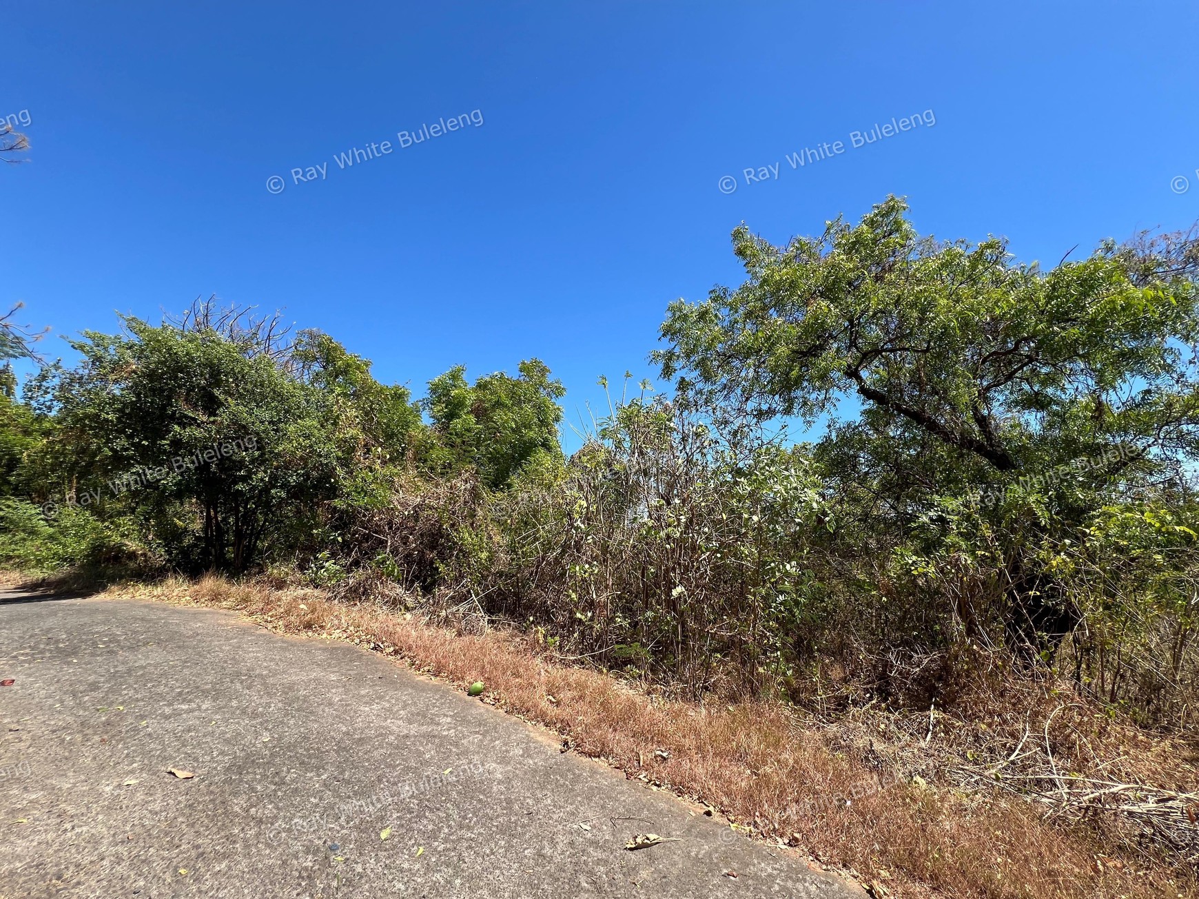 Unspoiled 1.93 Hectare Ocean View Land in Tejakula - Perfect for Resort or Retreat Project