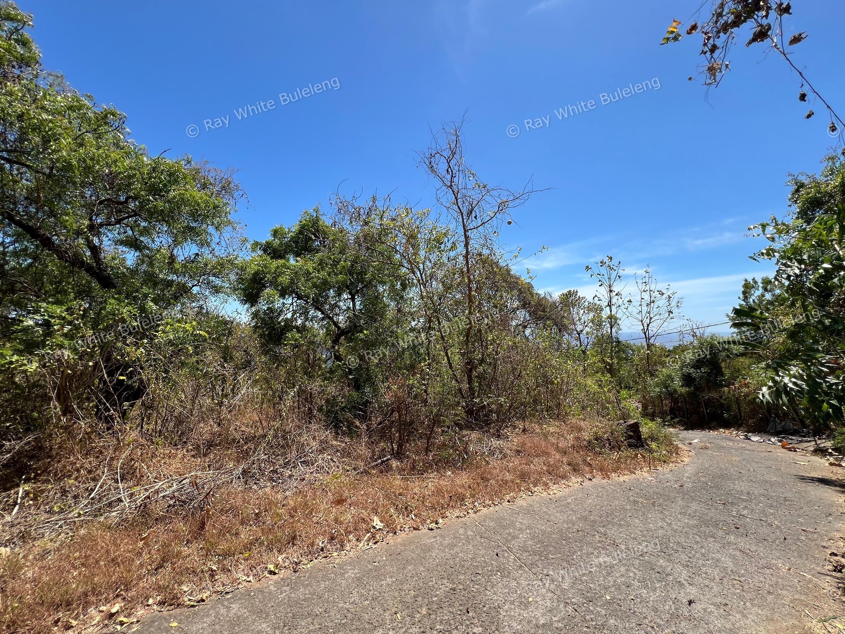 Unspoiled 1.93 Hectare Ocean View Land in Tejakula - Perfect for Resort or Retreat Project