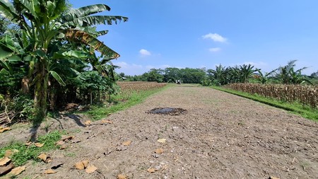Tanah 3287 Meter Persegi, Lokasi Dekat Universitas islam Mulia, Balecatur, Gamping, Sleman