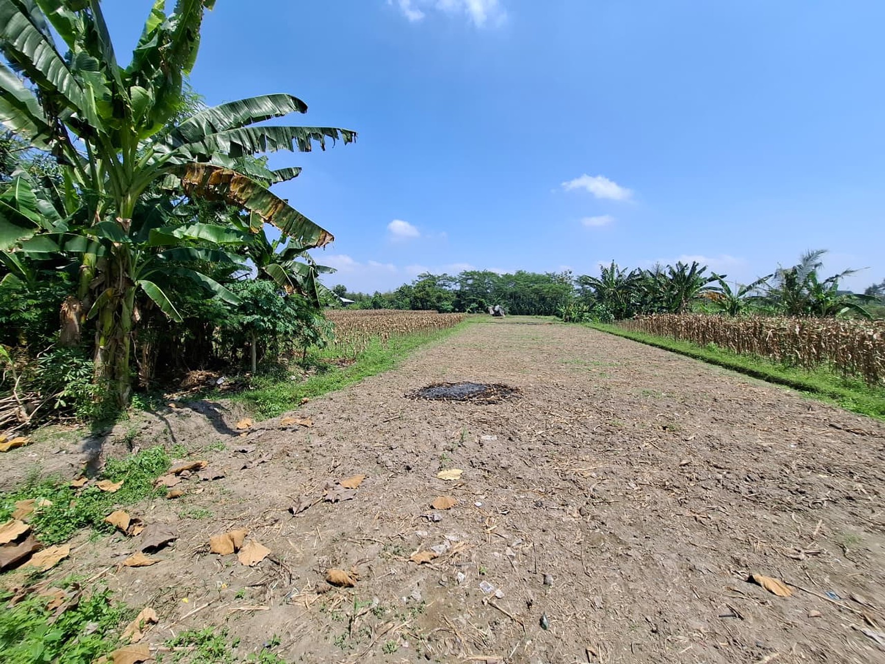 Tanah 3287 Meter Persegi, Lokasi Dekat Universitas islam Mulia, Balecatur, Gamping, Sleman