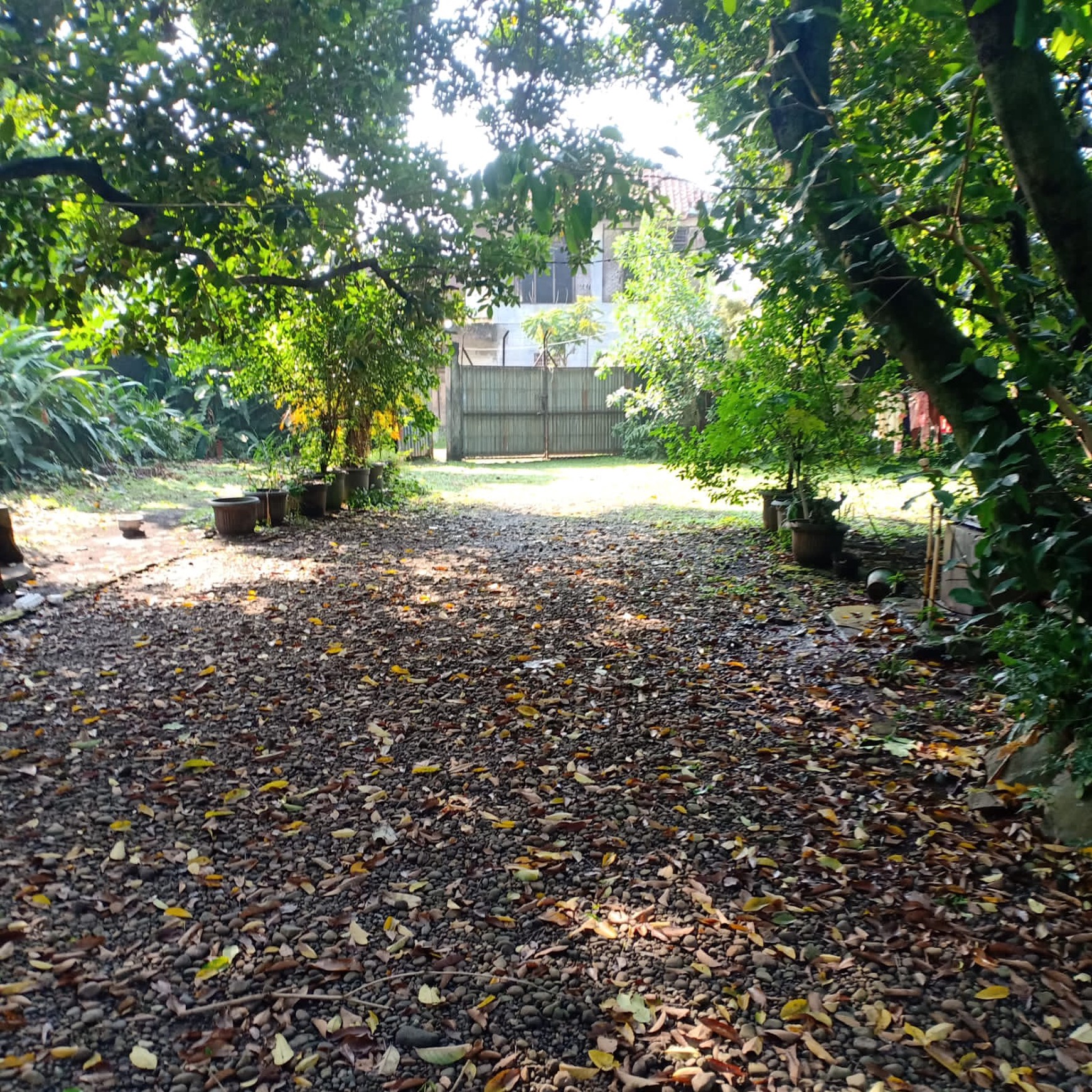 Kavling Kebon Buah di Cimanggis Depok