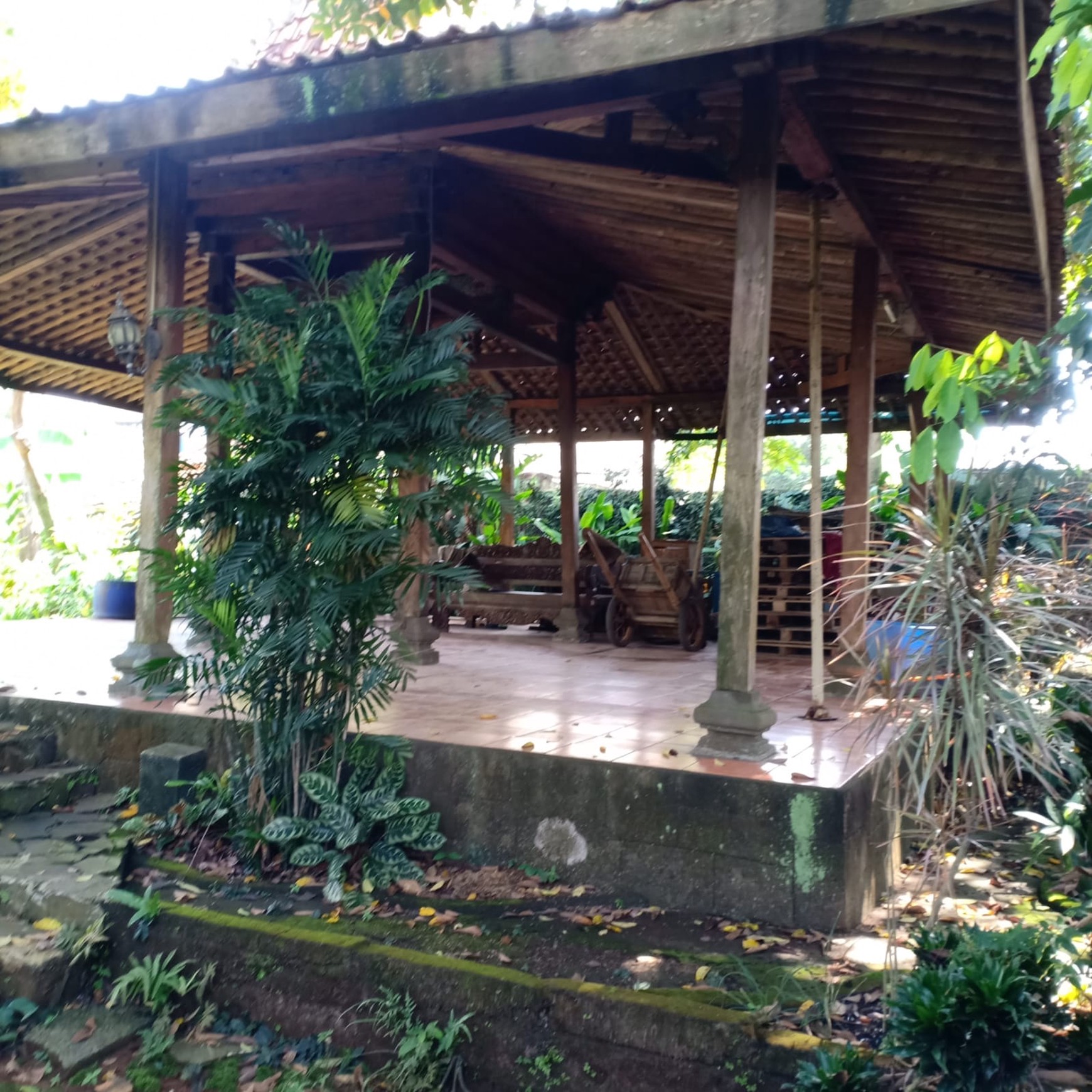 Kavling Kebon Buah di Cimanggis Depok