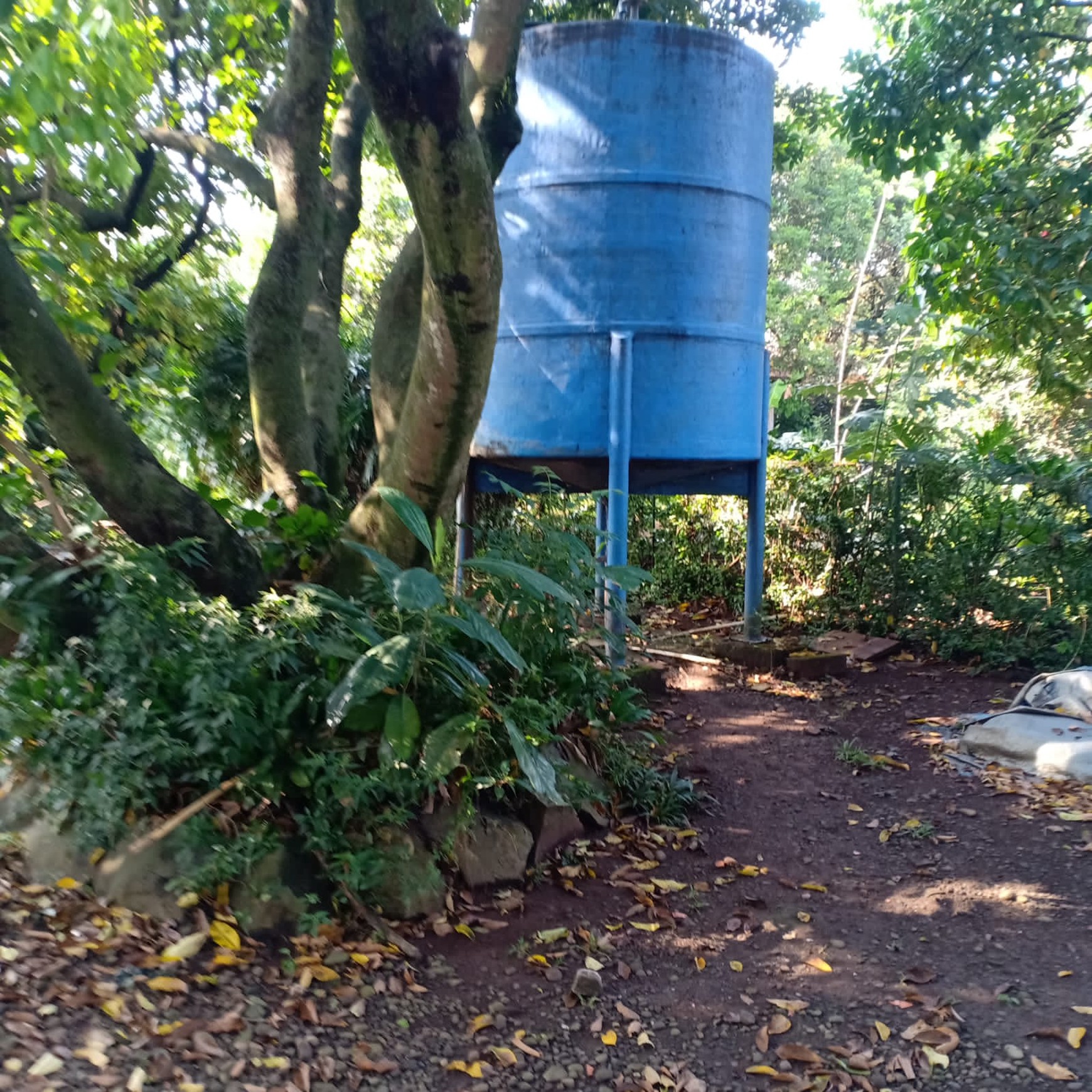 Kavling Kebon Buah di Cimanggis Depok