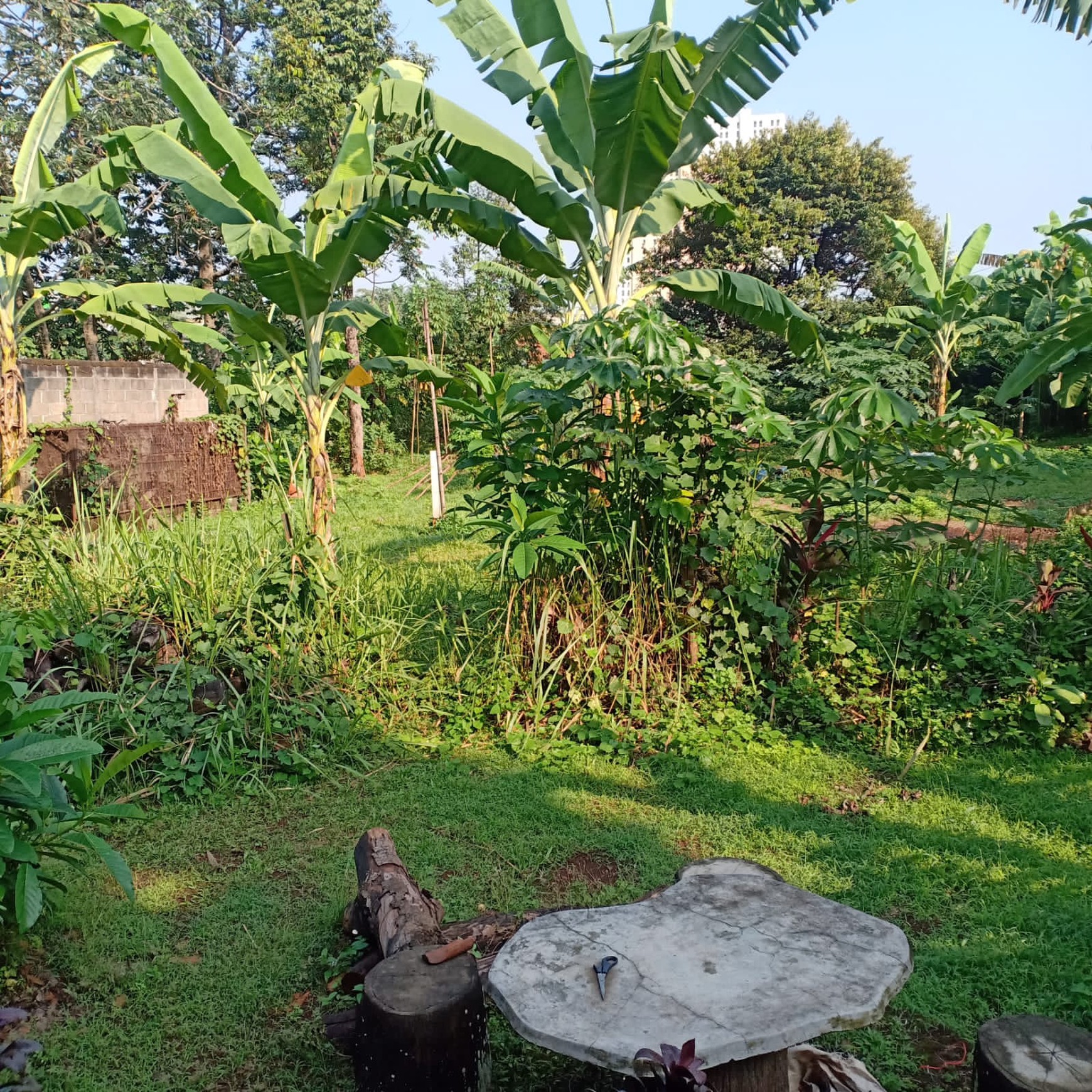 Kavling Kebon Buah di Cimanggis Depok