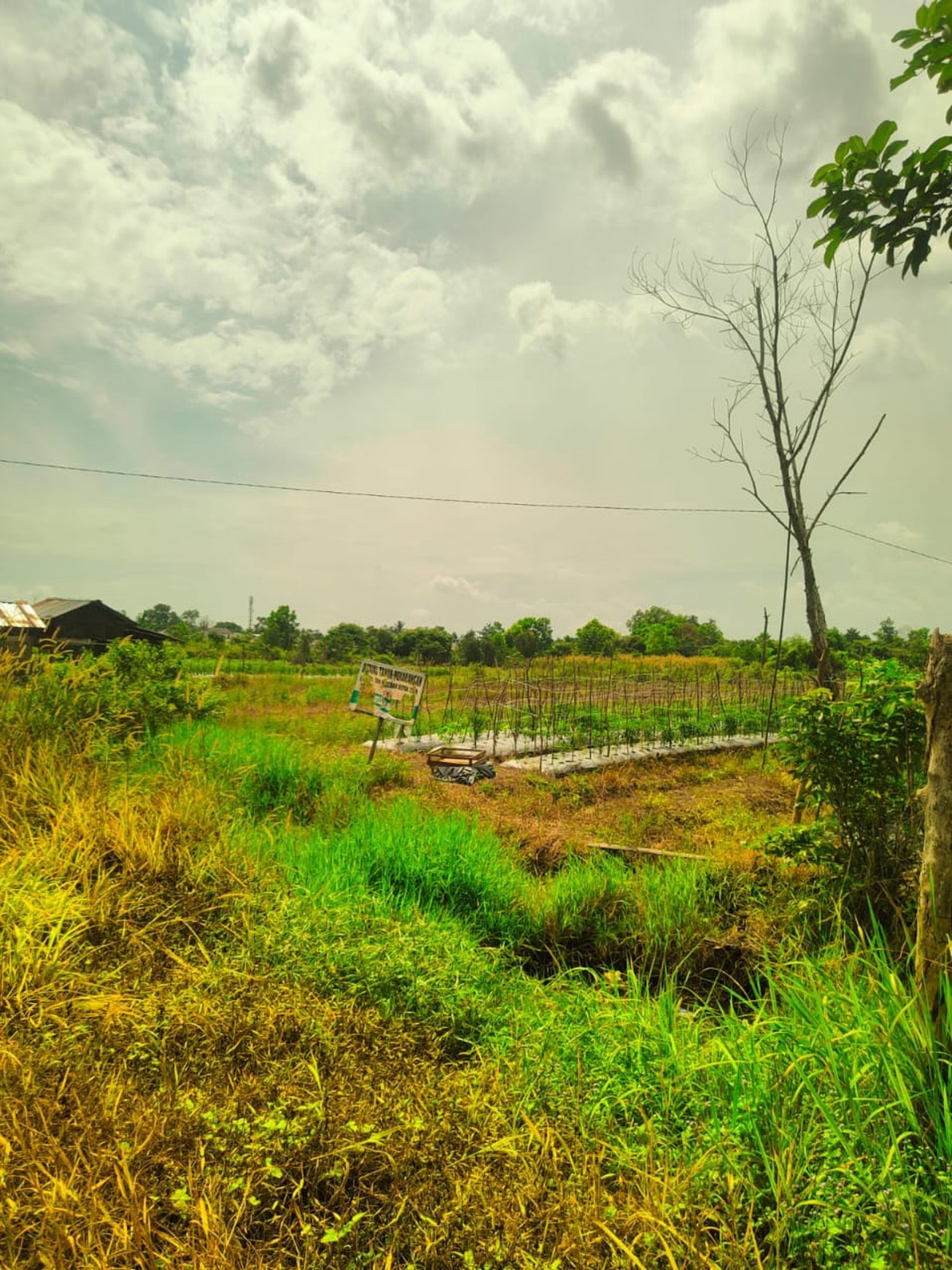 Tanah 900 Meter Persegi Lokasi Dekat Swargaloka Golf, Banjarbaru, Kalimantan Selatan