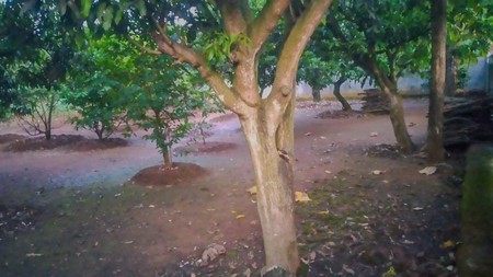 Tanah kavling di Cangakan, Karanganyar, dekat Tawangmangu & Solo