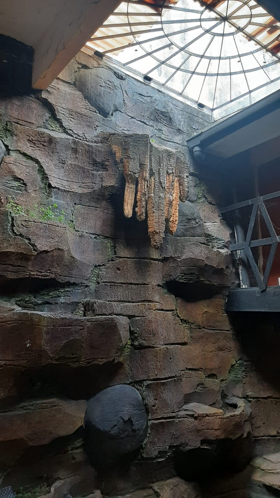 Rumah 4 Kamar Dalam Perum Ambarketawang Permai Gamping Sleman