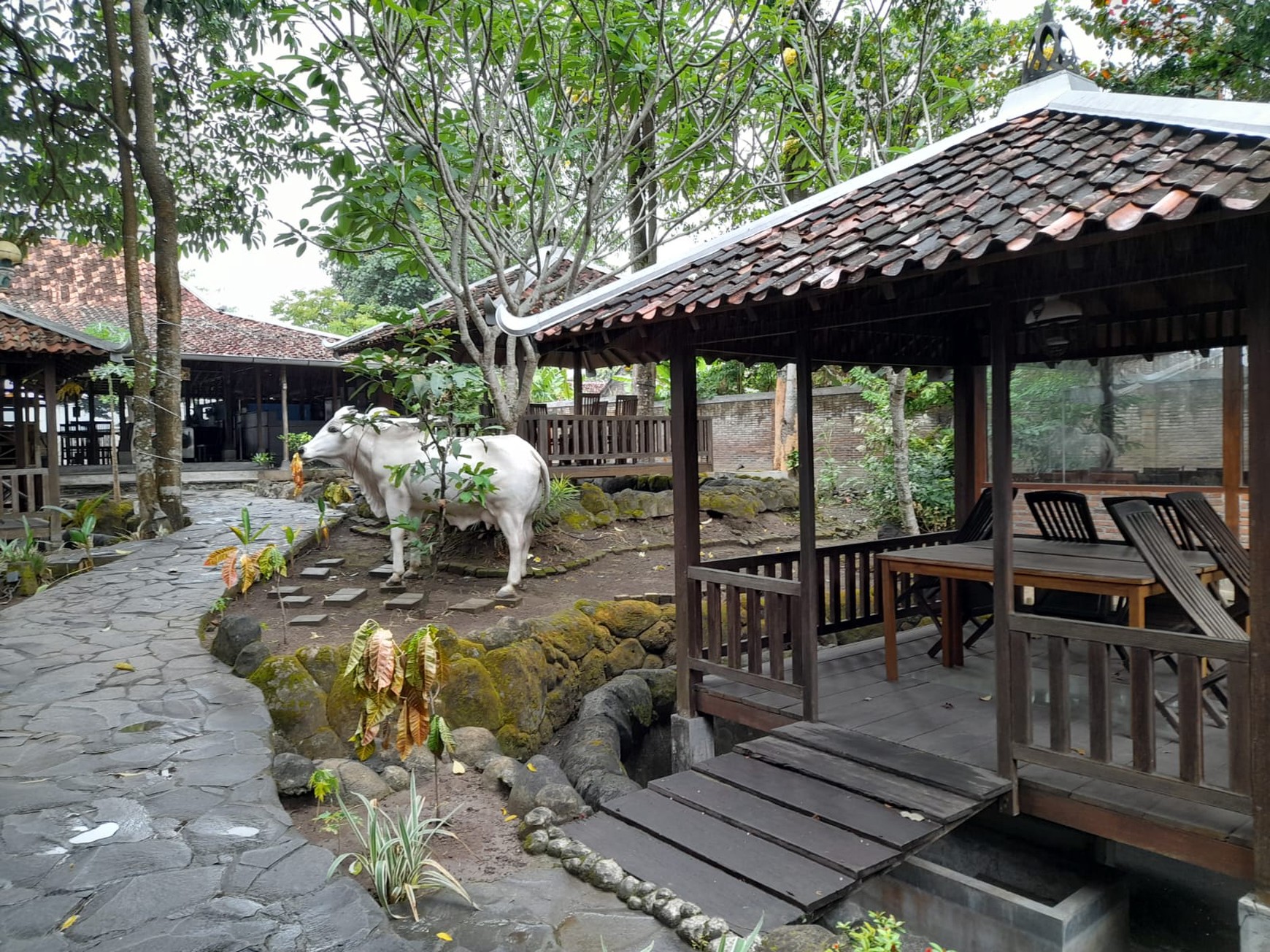 Tanah Komersial Luas 5.535 Meter Persegi Lokasi Premium di Mlati Sleman 