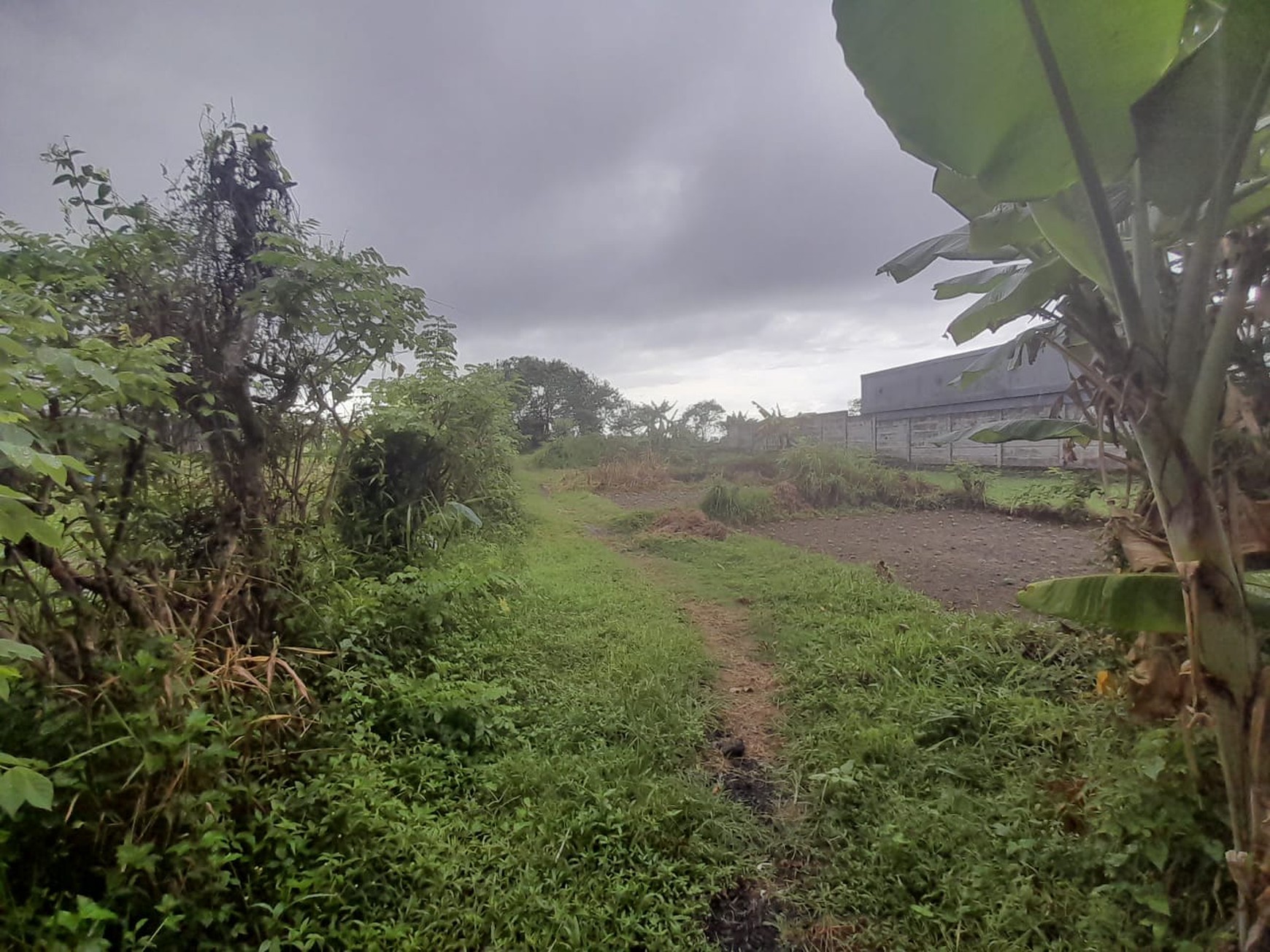 Dijual Tanah Luas 1.051 Meter Persegi  Lokasi Jl. Palagan, Sleman, Yogyakarta