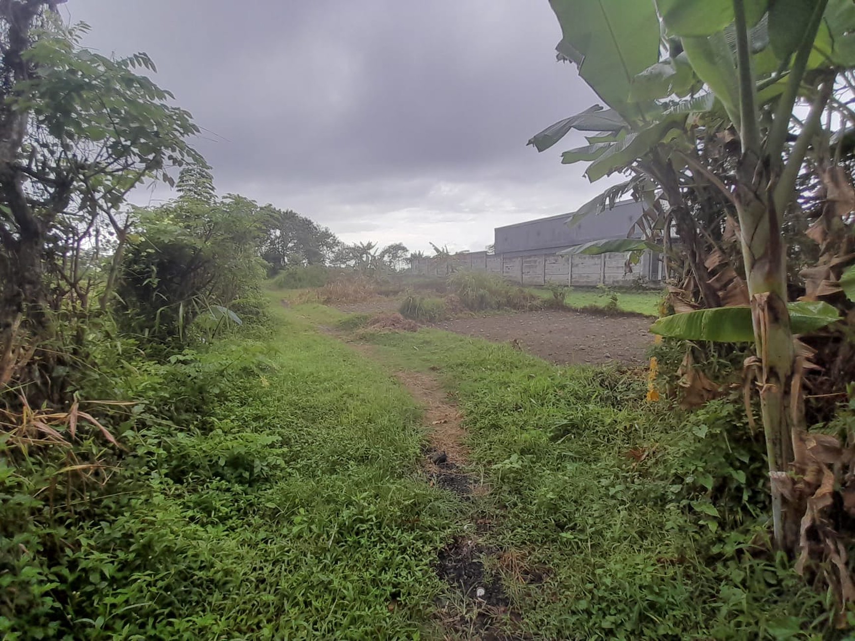 Dijual Tanah Luas 1.051 Meter Persegi  Lokasi Jl. Palagan, Sleman, Yogyakarta