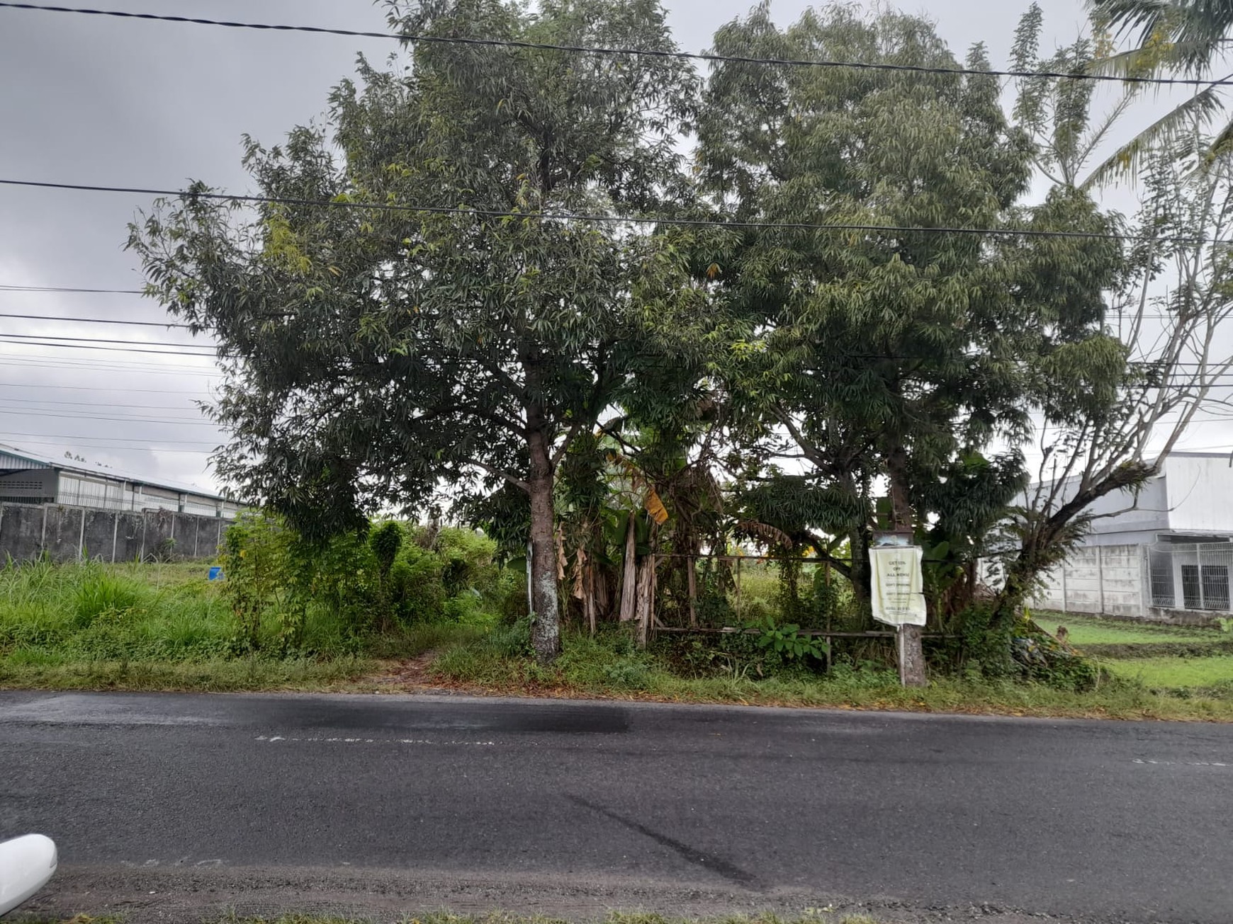 Dijual Tanah Luas 1.051 Meter Persegi  Lokasi Jl. Palagan, Sleman, Yogyakarta