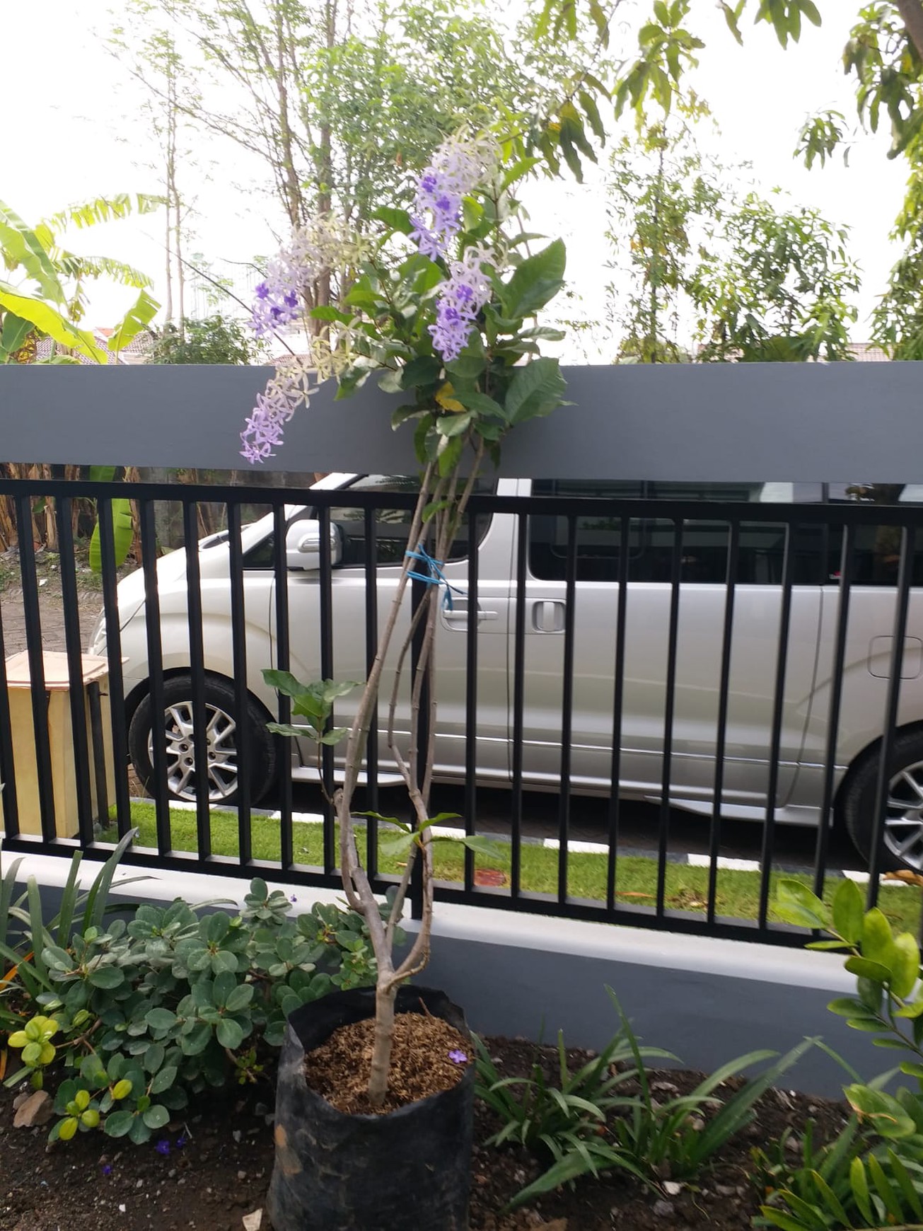 Rumah Bagus Di Perum Rangkut Pandug Surabaya Jawa Timur