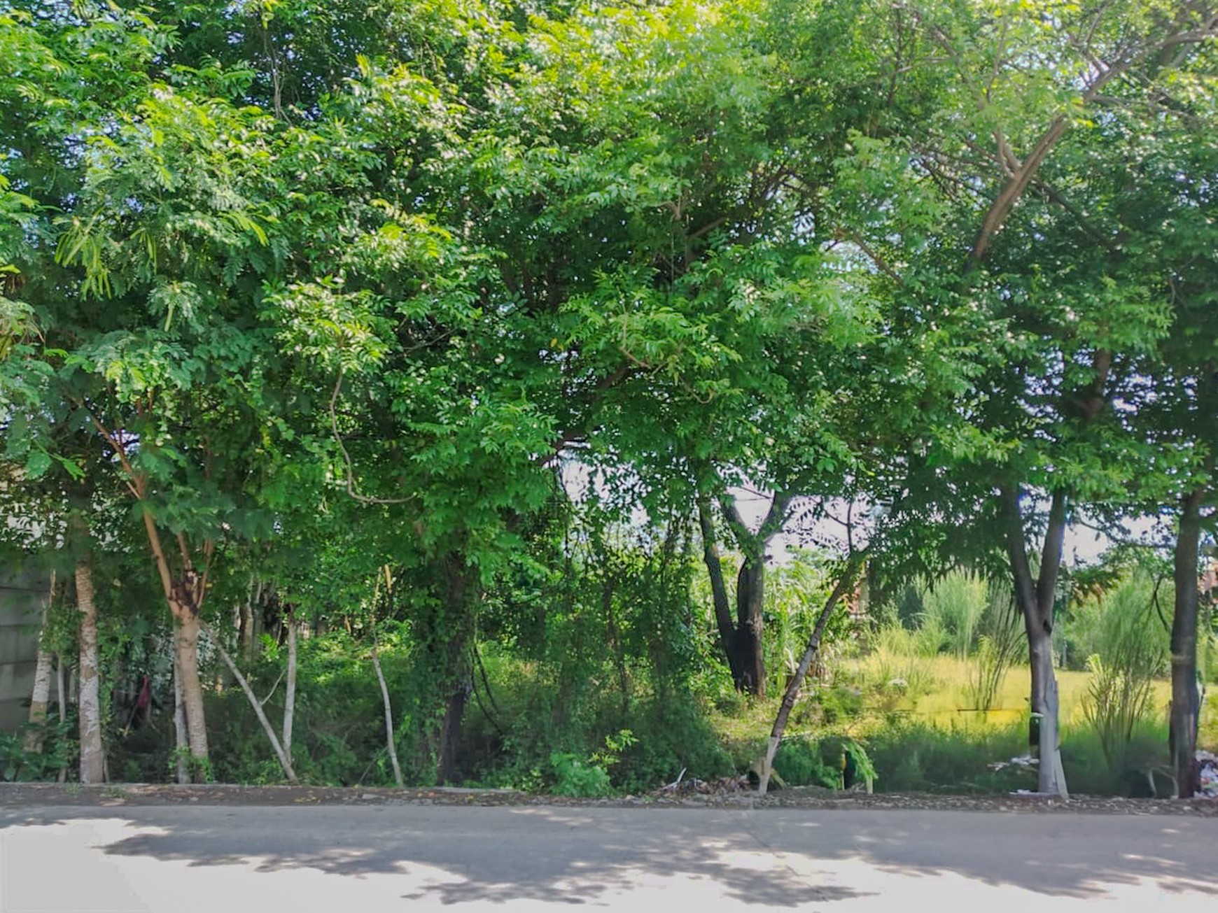 Tanah 2800 m2 di Pakuhaji Tangerang Banten, dekat Mauk Sepatan