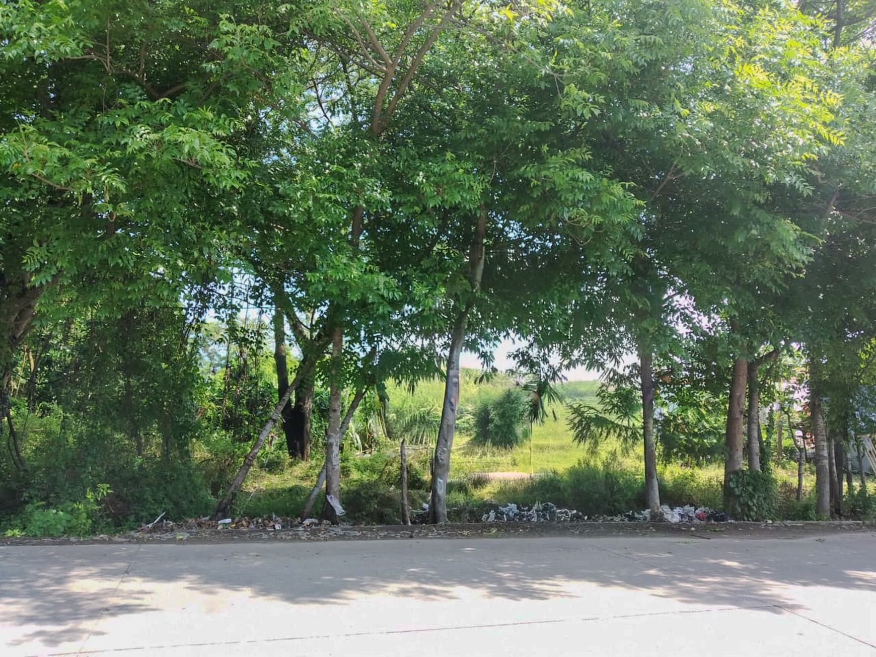 Tanah 2800 m2 di Pakuhaji Tangerang Banten, dekat Mauk Sepatan