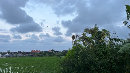 For Sale Leasehold - 1 bedroom villa in quiet spot area Dalung , Bali