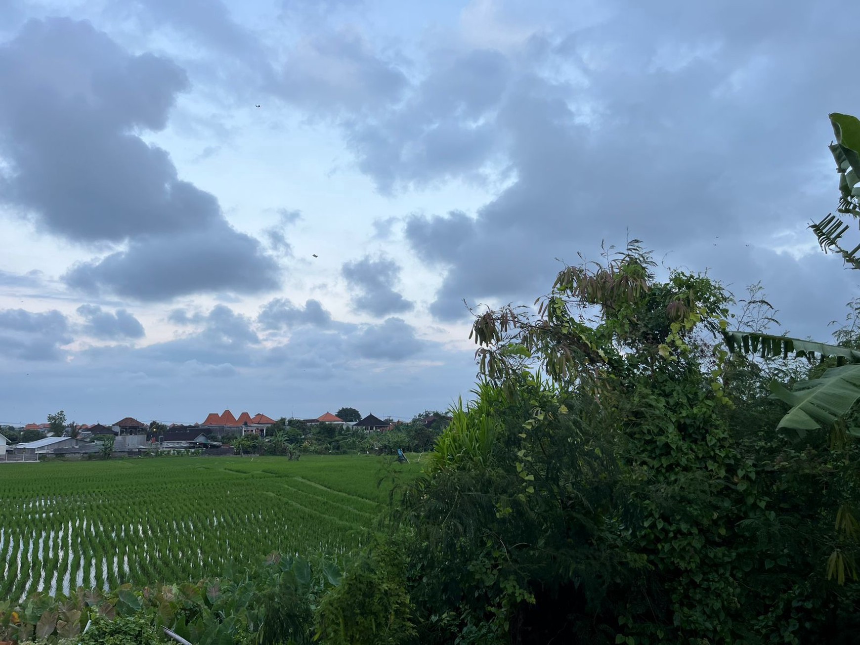 For Annual Rental - 1 bedroom villa in quiet spot  area Dalung , Bali