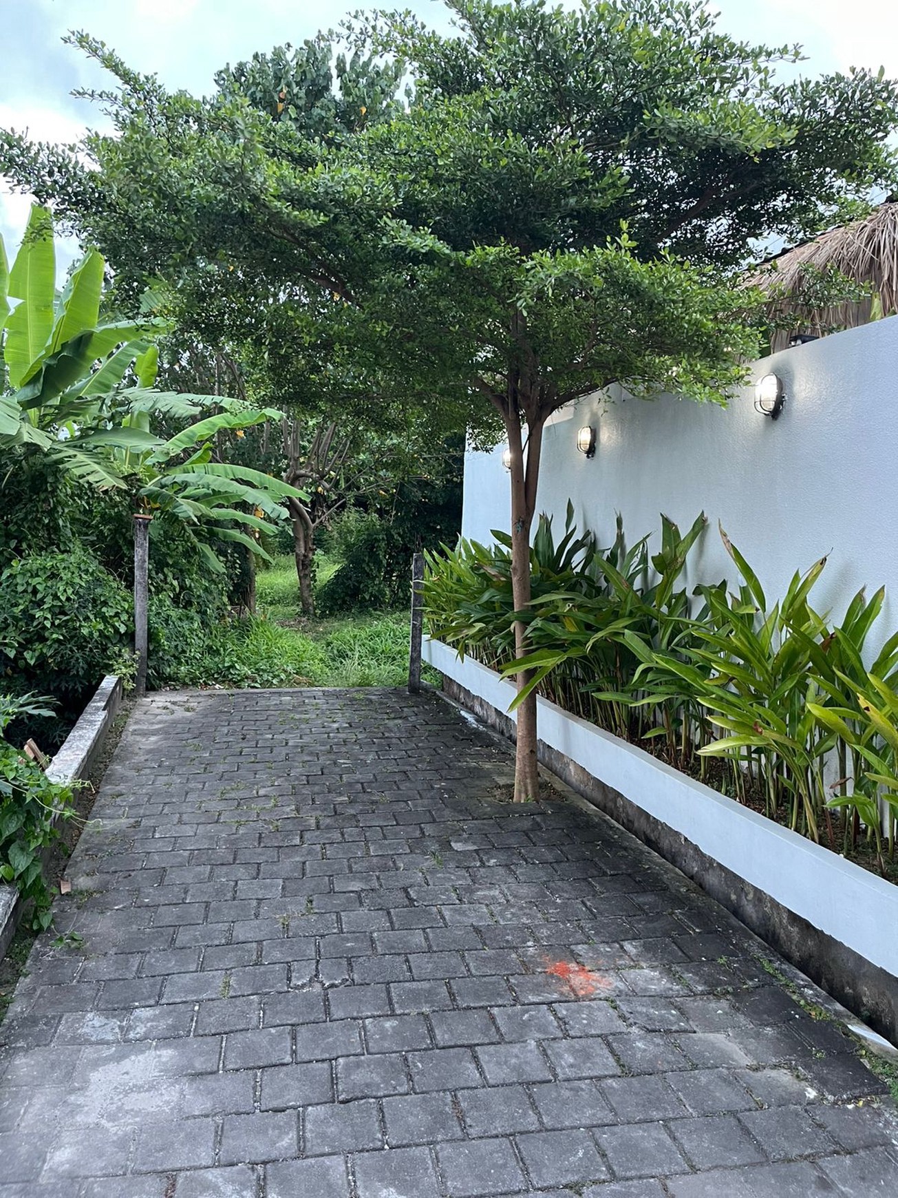 For Annual Rental - 1 bedroom villa in quiet spot  area Dalung , Bali