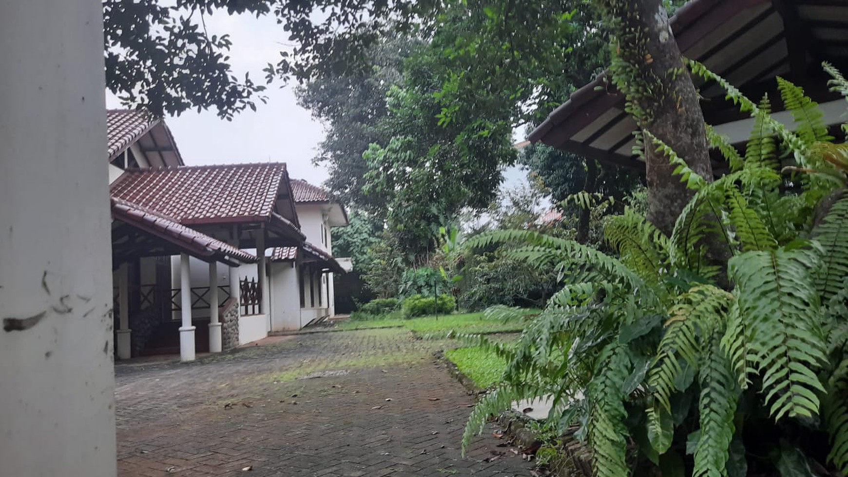 Rumah Kebun Asri & Nyaman Lokasi  Strategis Harga Dibawah NJOP di Lebak Bulus,  Jakarta Selatan