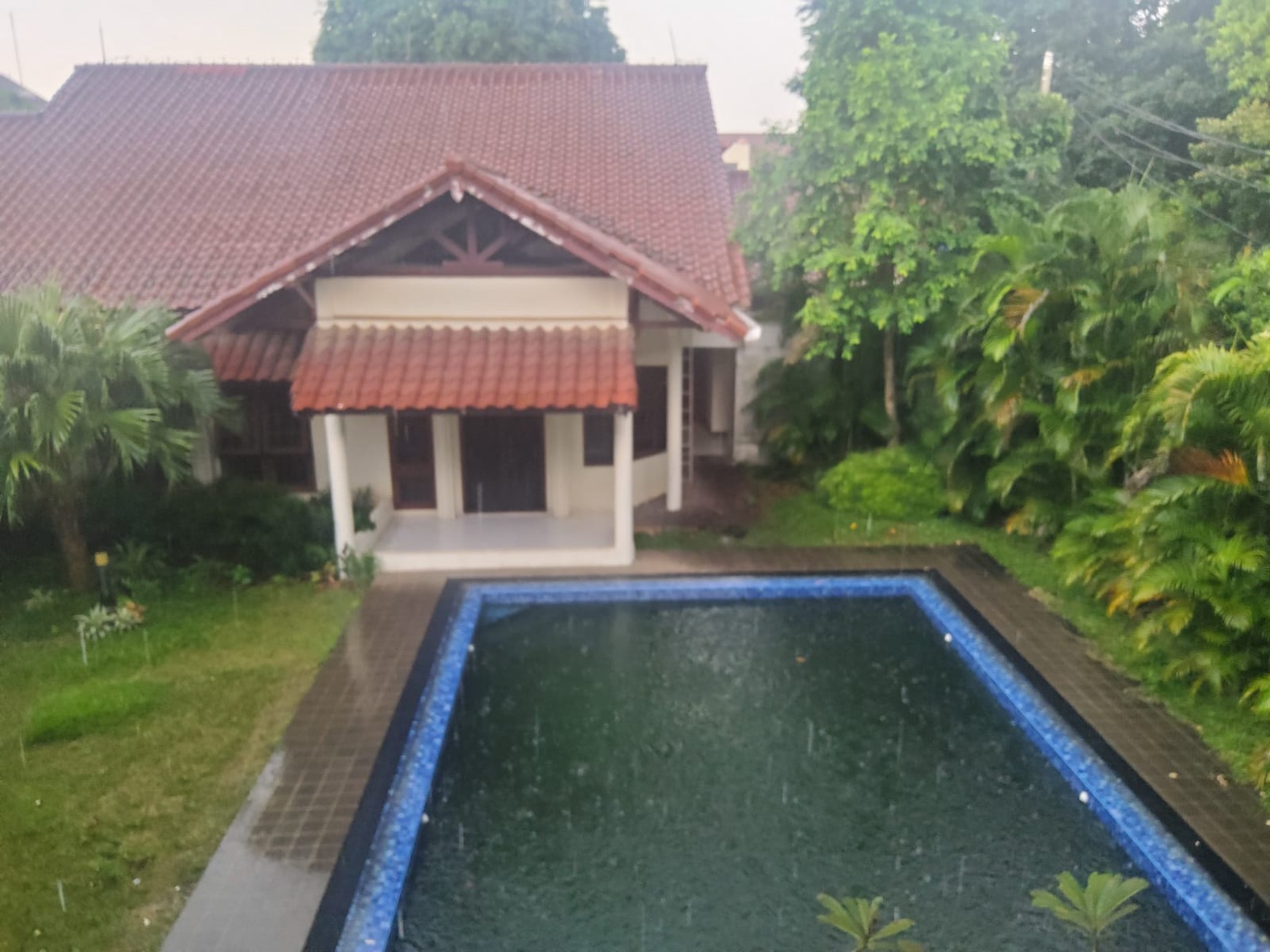 Rumah Kebun Asri & Nyaman Lokasi  Strategis Harga Dibawah NJOP di Lebak Bulus,  Jakarta Selatan