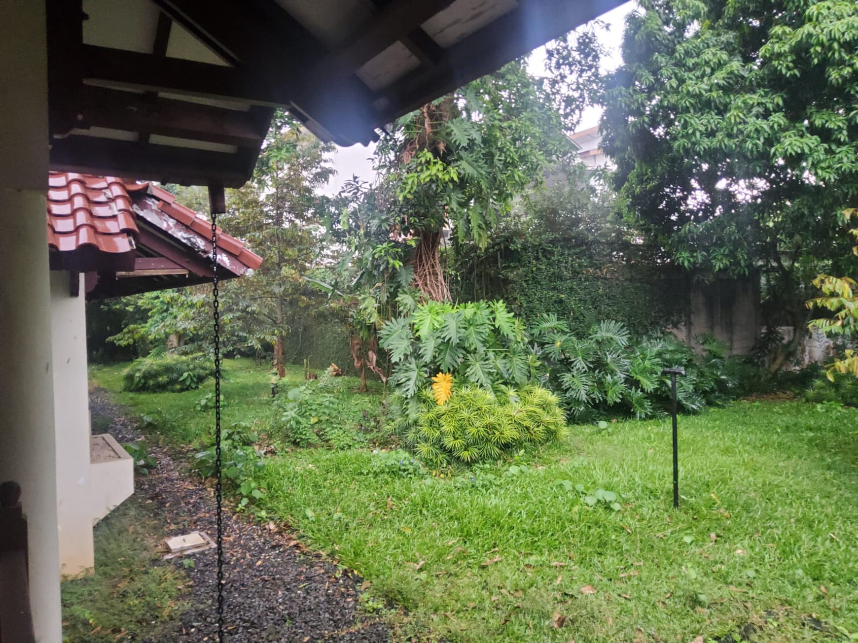 Rumah Kebun Asri & Nyaman Lokasi  Strategis Harga Dibawah NJOP di Lebak Bulus,  Jakarta Selatan