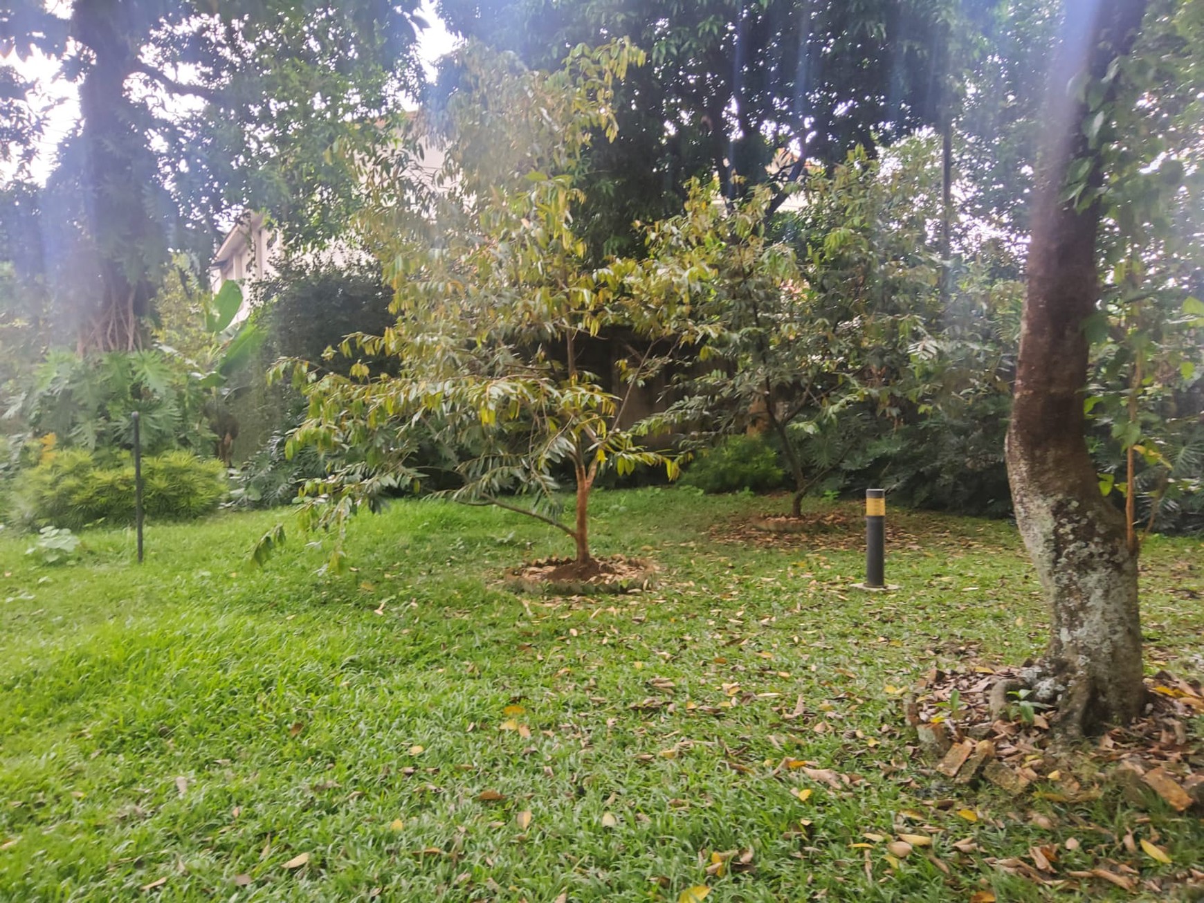 Rumah Kebun Asri & Nyaman Lokasi  Strategis Harga Dibawah NJOP di Lebak Bulus,  Jakarta Selatan