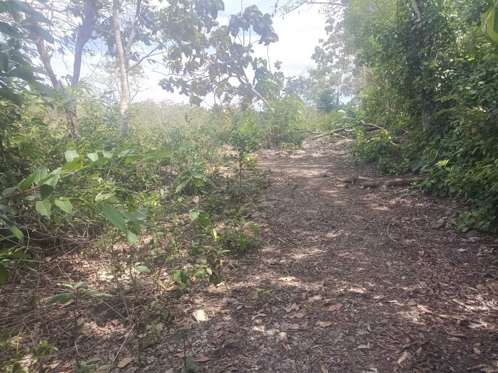 Amazing Land In Great Location Balangan Bali